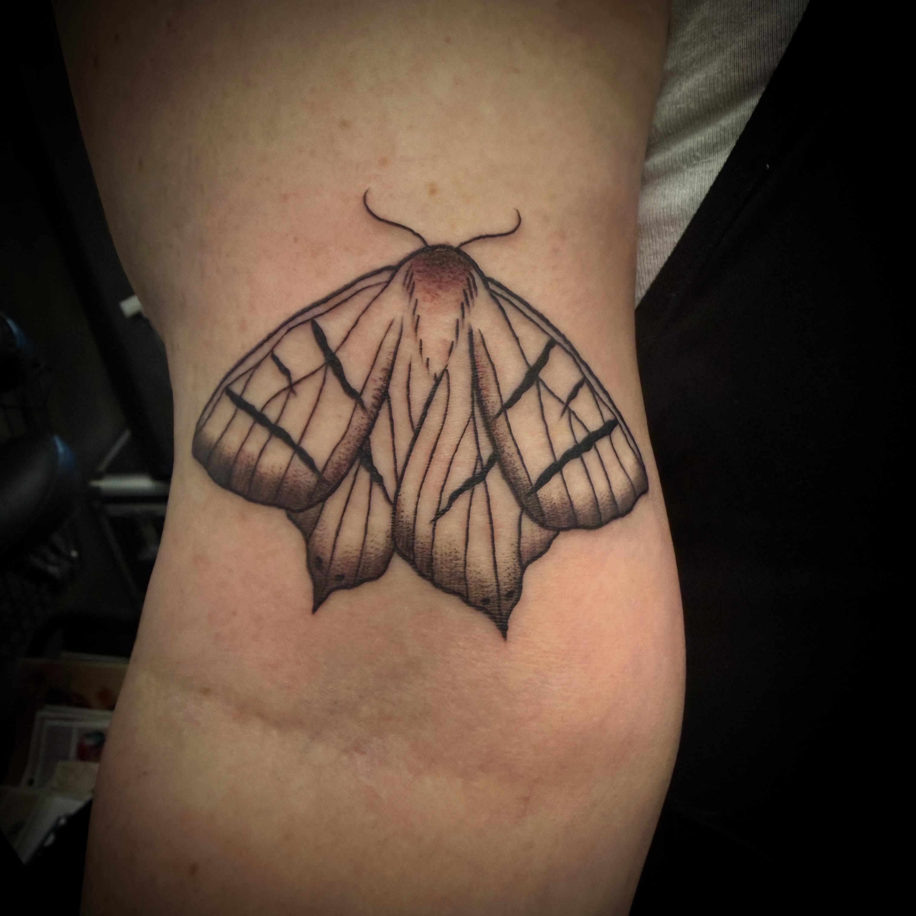 Moth black and grey tattoo on the forearm by ArJay Smith