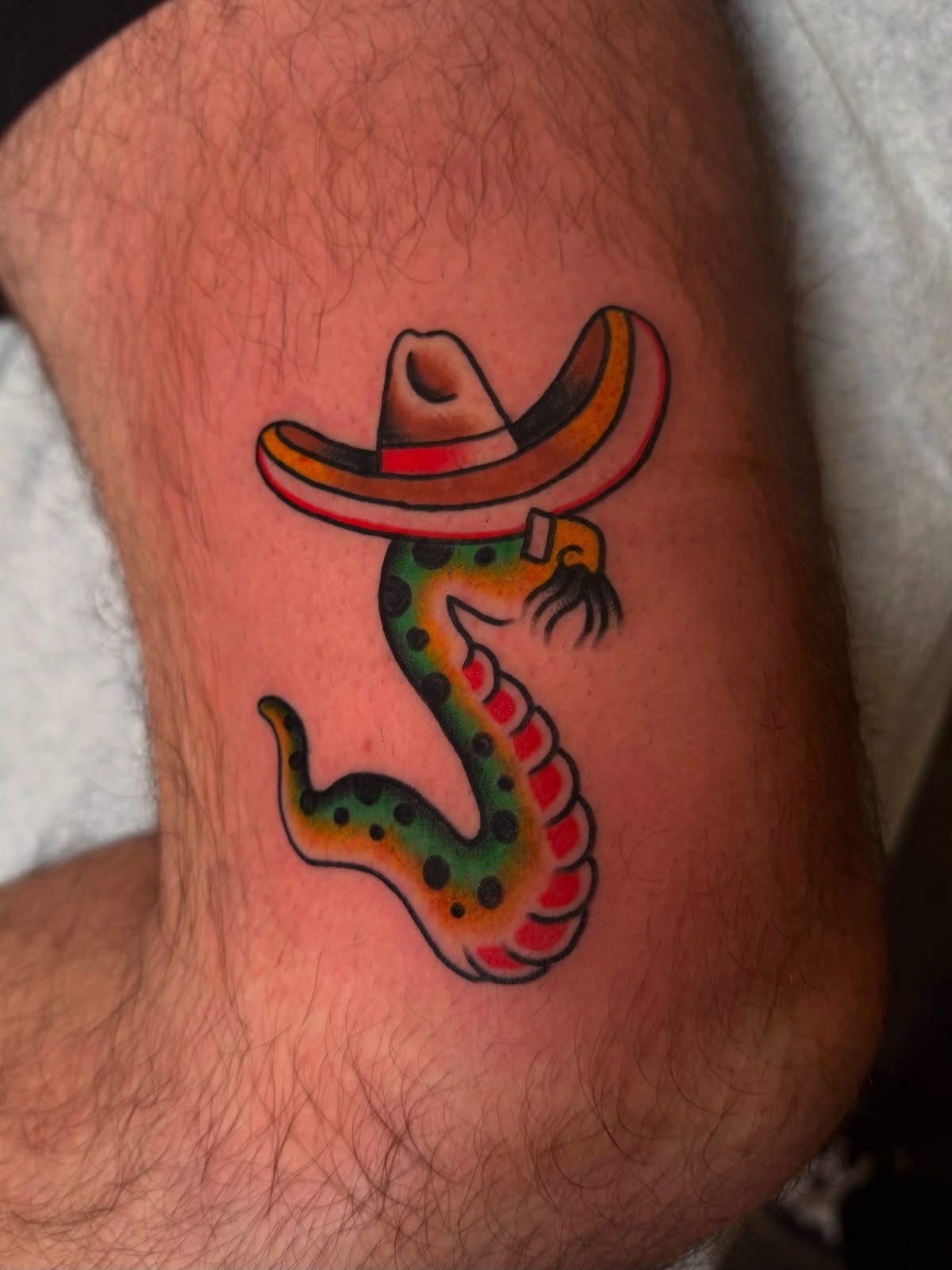Snake wearing sombrero American traditional tattoo on the forearm by Tyler Brown, San Diego, California