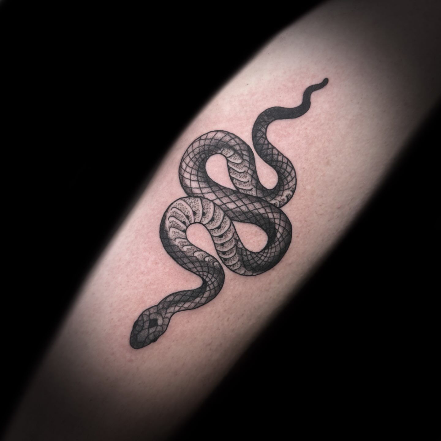 Snake black and grey tattoo on the forearm by Kelsea Weir McCree