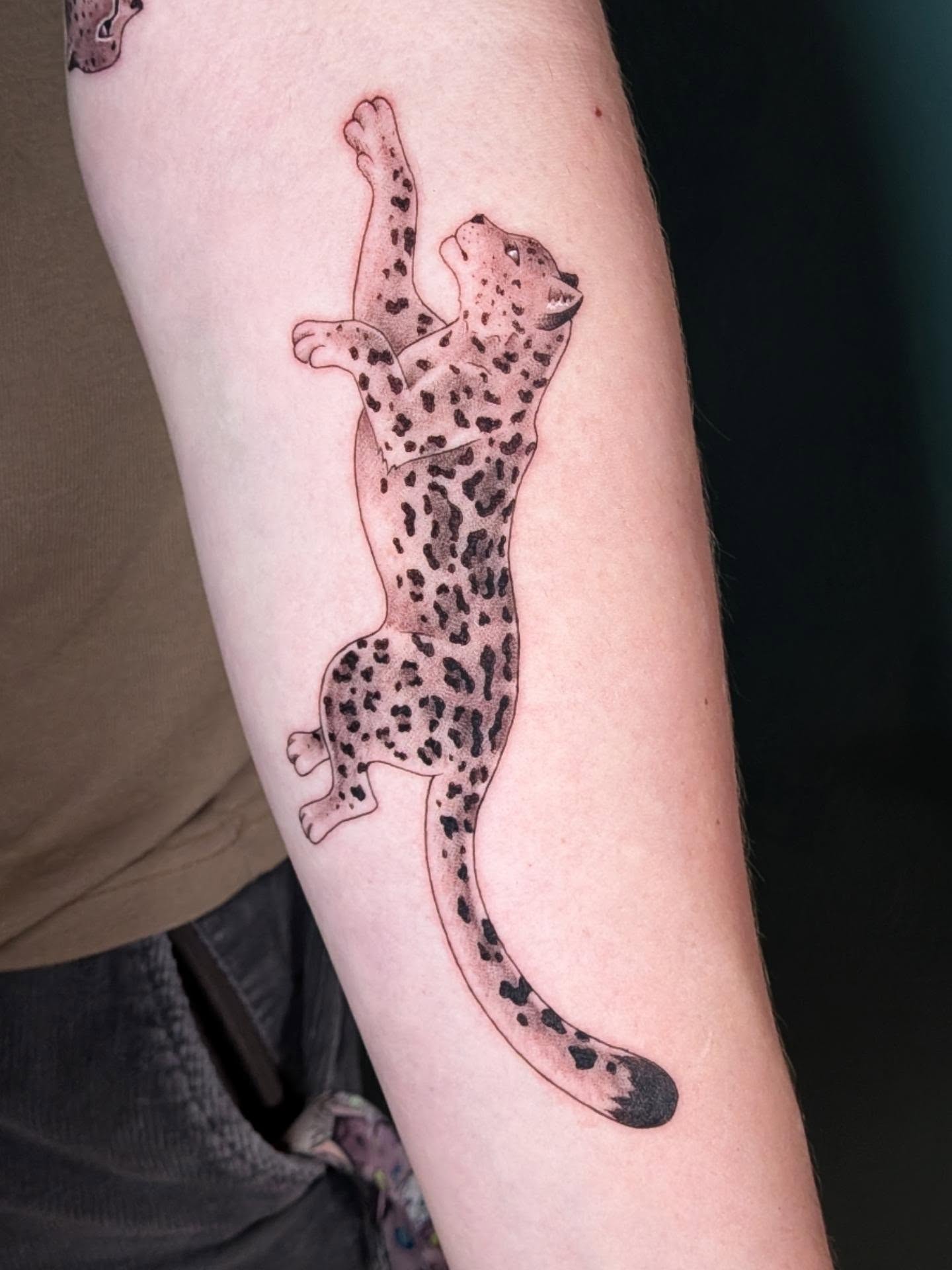Snow leopard dotwork tattoo on the forearm by L U C y, Knoxville, Tennessee