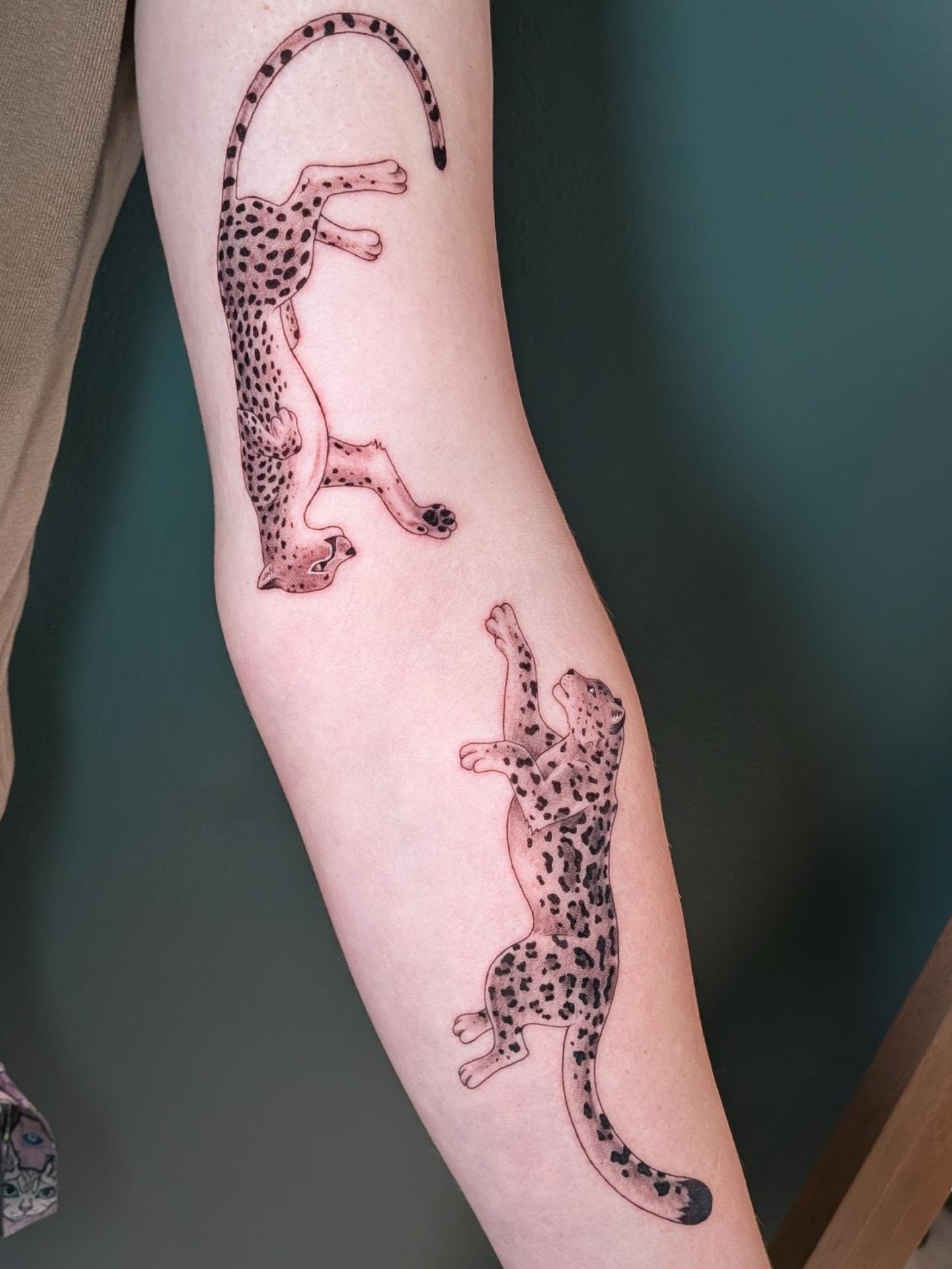 Cheetahs dotwork tattoo on the forearm by L U C y, Knoxville, Tennessee