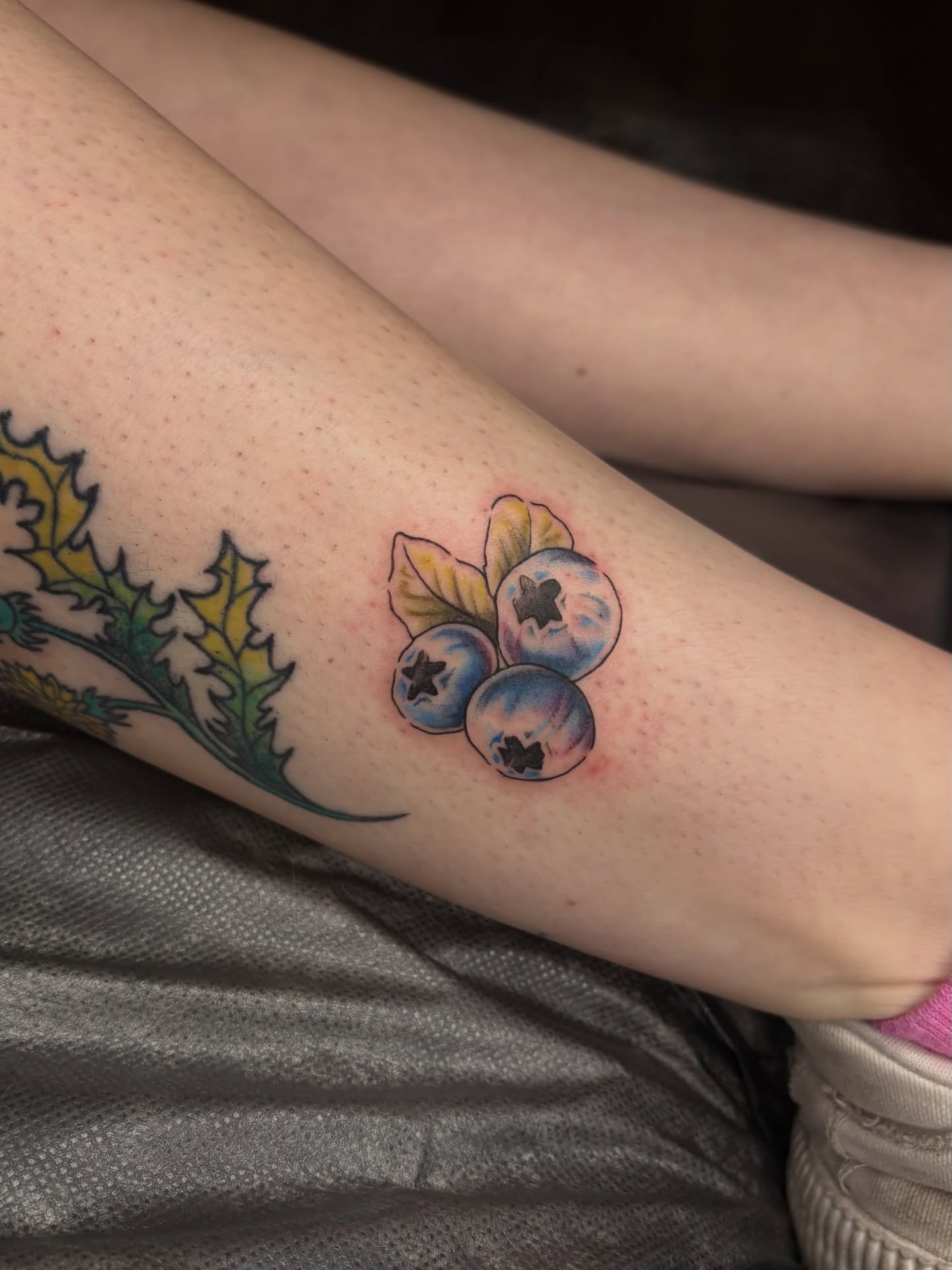 Blueberries American traditional tattoo on the forearm by emery ♡ slc utah tattoo artist
