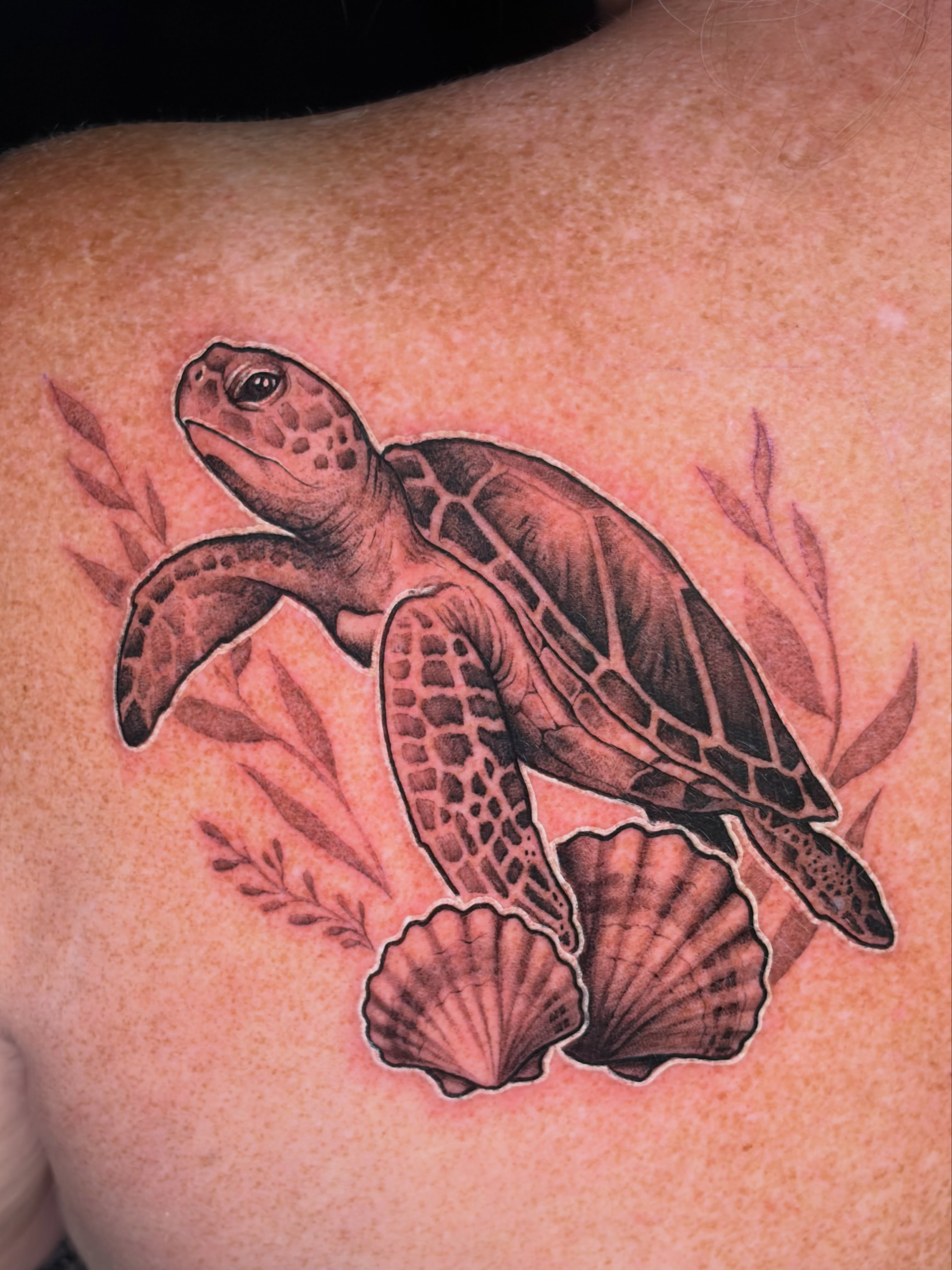 Sea turtle realism tattoo on the back by Bryce Presley, Mission, Kansas