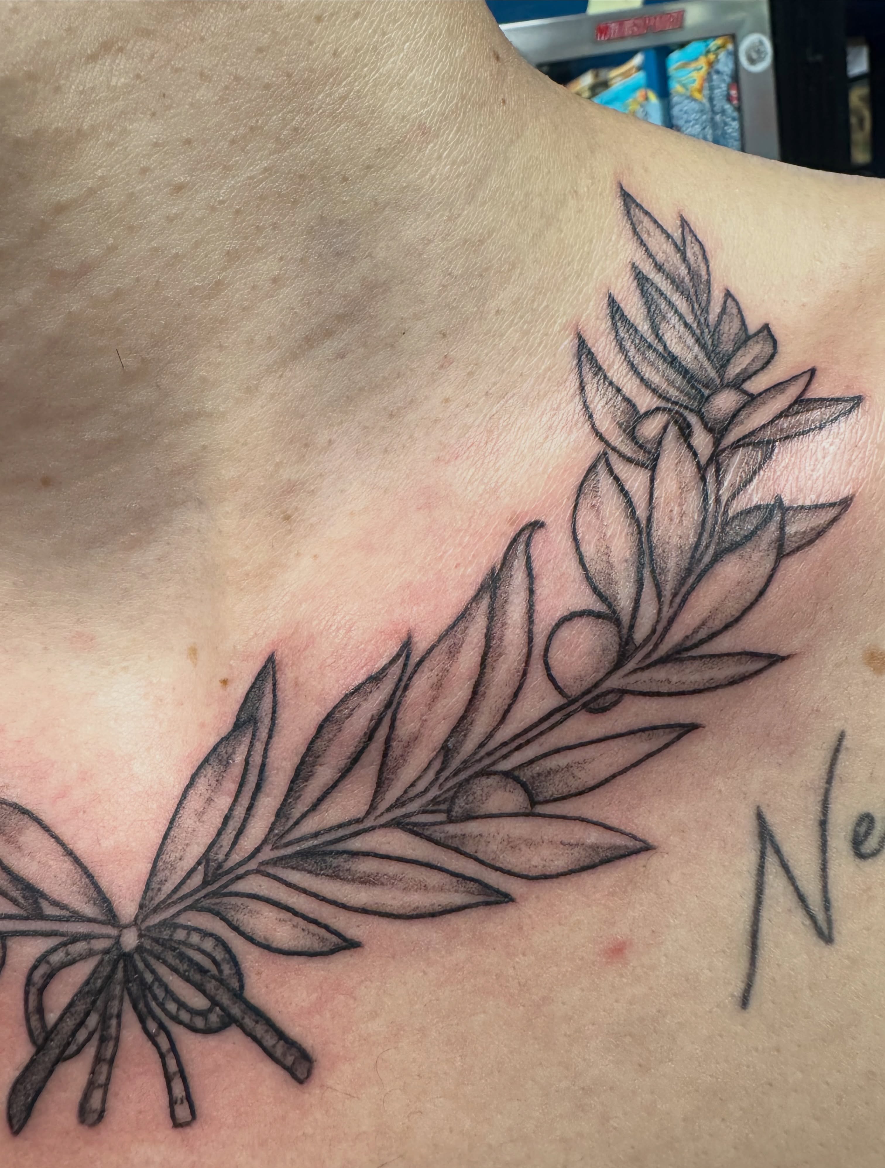 Olive branch black and grey tattoo on the chest by Shannon, Cincinnati, Ohio