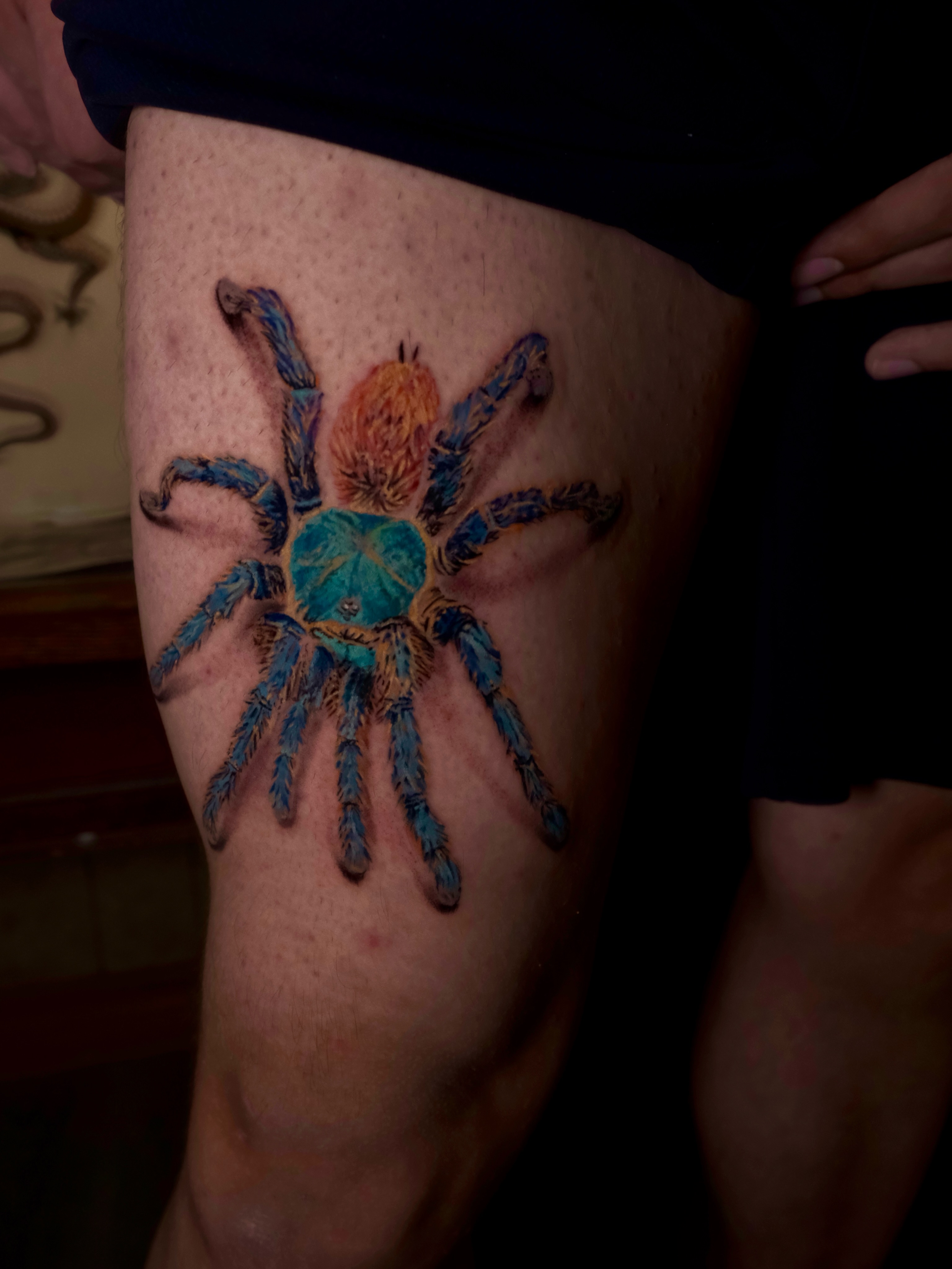 Spider realism tattoo on the thigh by AL 777, Denton, Texas