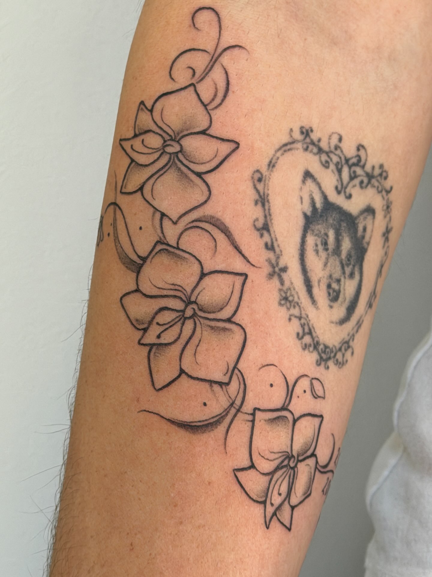 Flowers and wolf black and grey tattoo on the forearm by gabrielle rosemary ποΈ