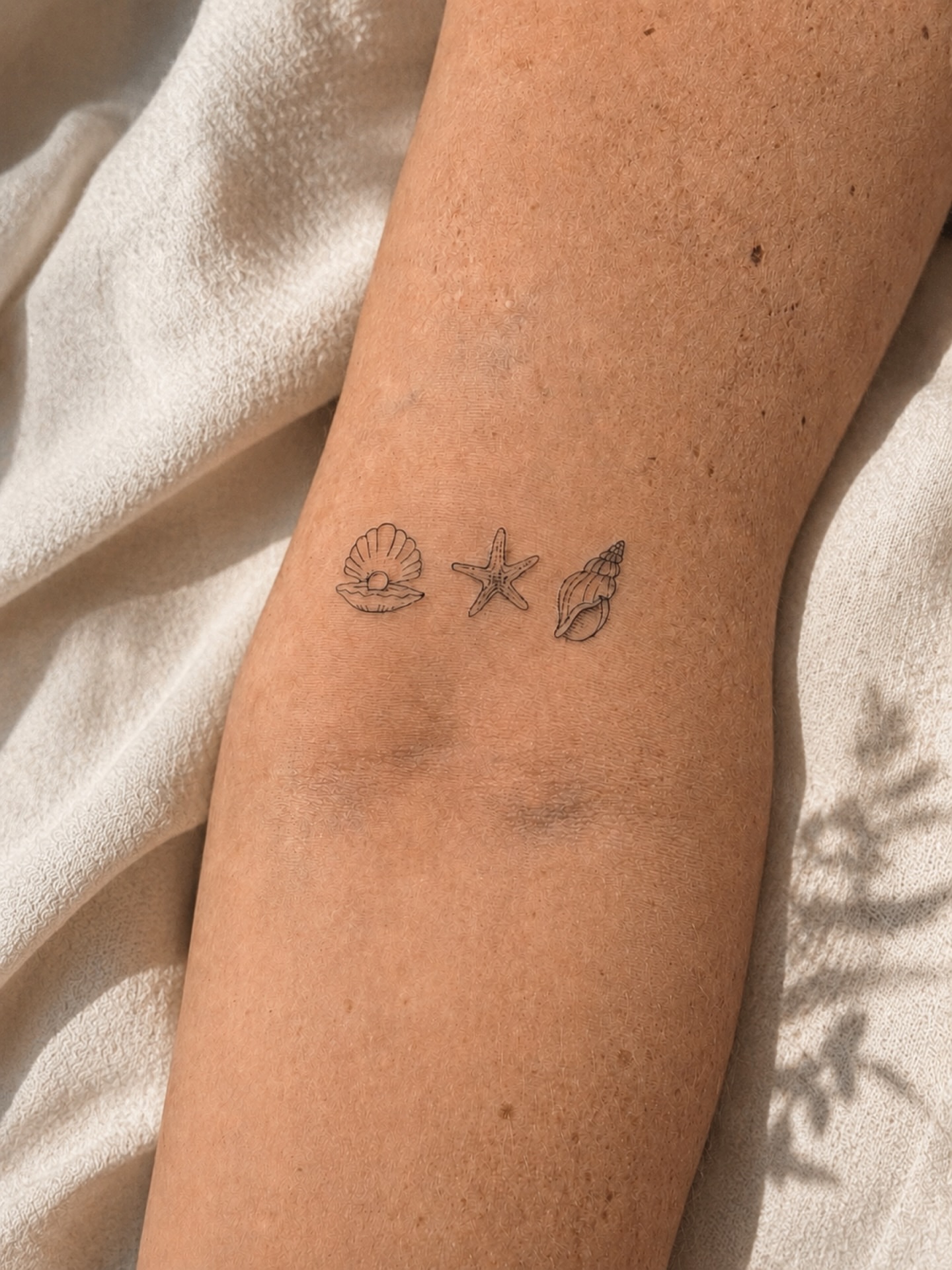 Seashells and starfish black and grey tattoo on the forearm by Takyro