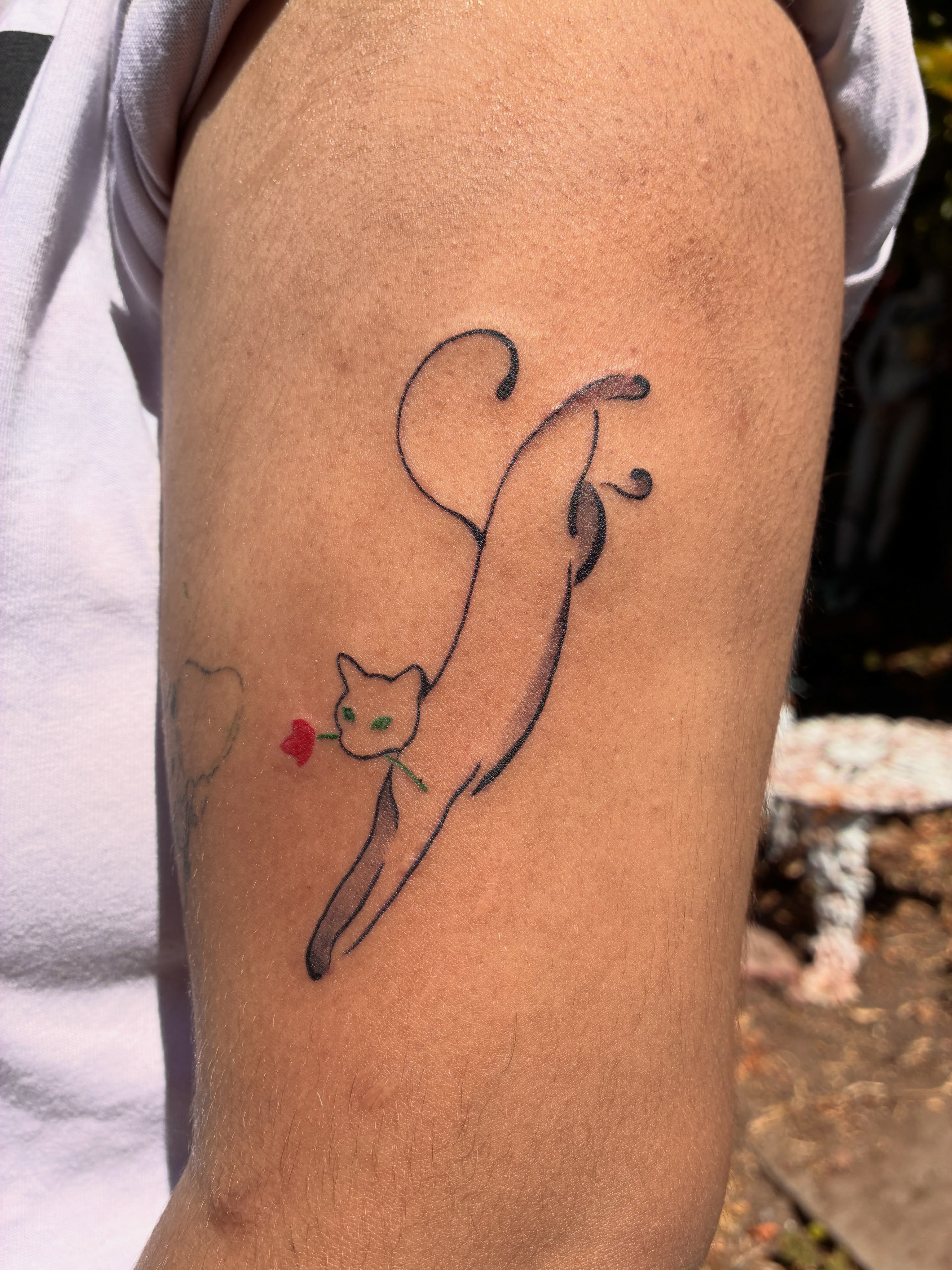 Cat with rose fine line tattoo on the forearm by Xin.H