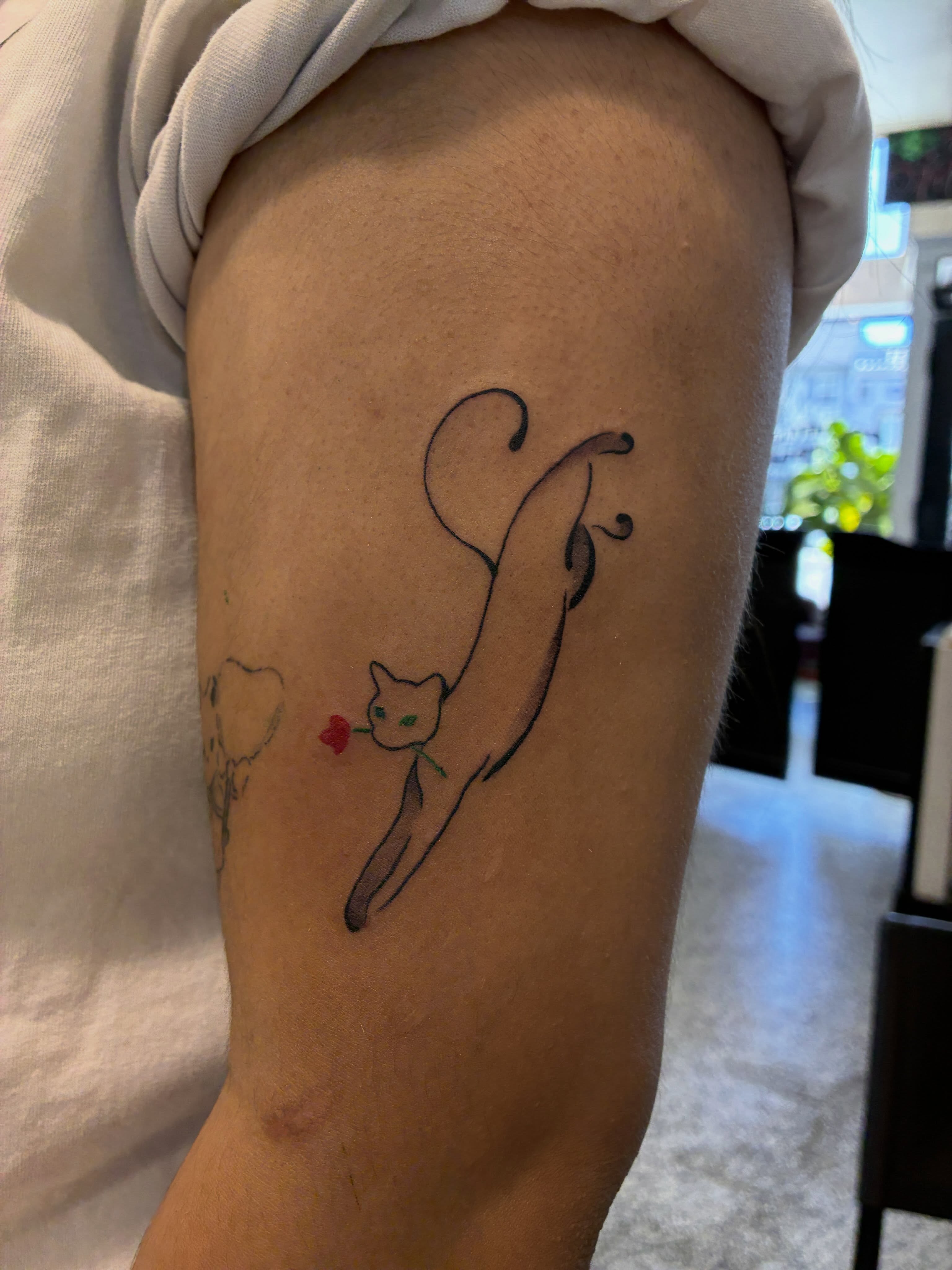 Cat with rose fine line tattoo on the forearm by Xin.H