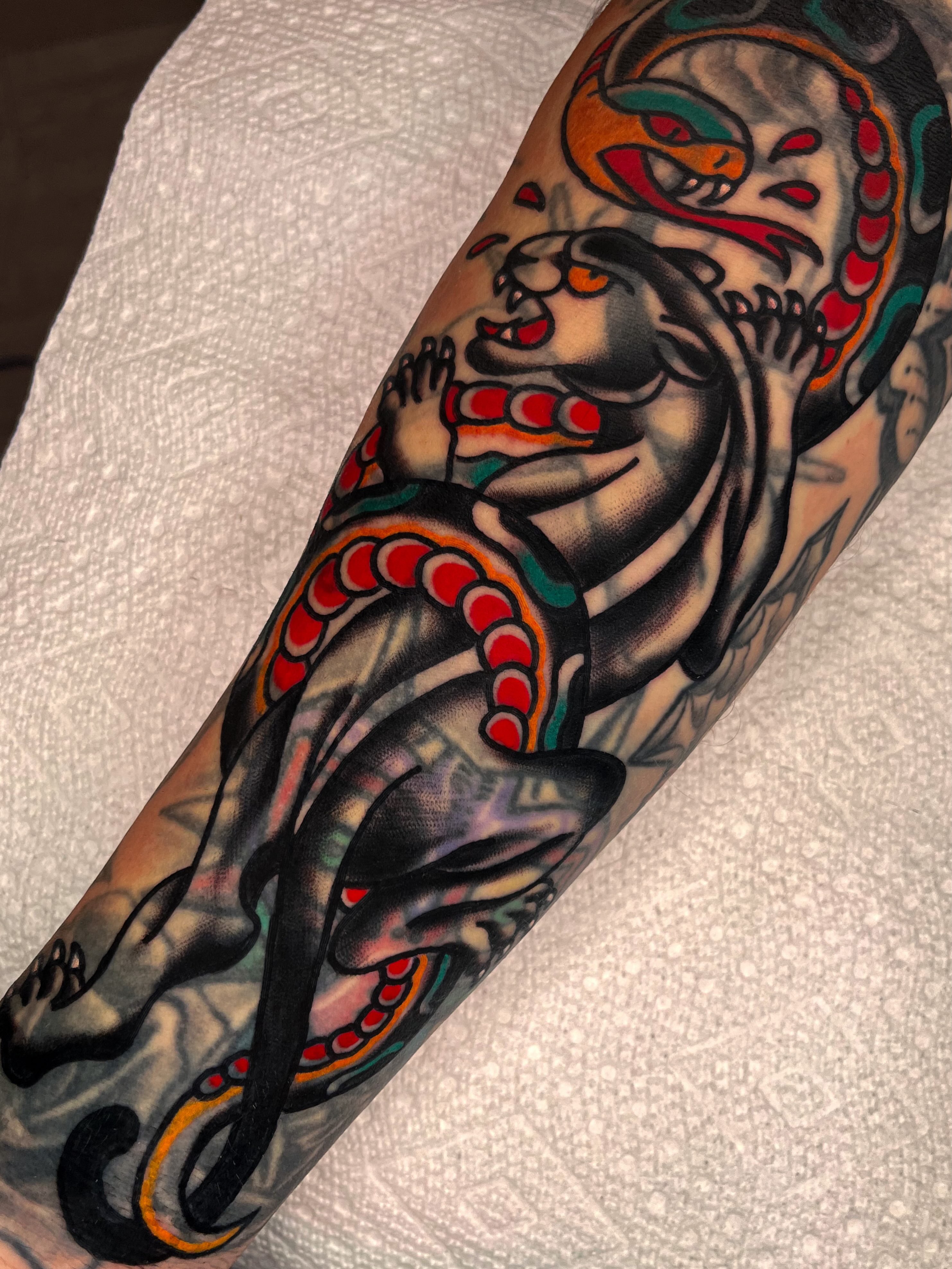Bear and snake American traditional tattoo on the forearm by Sky G, Colorado Springs, Colorado