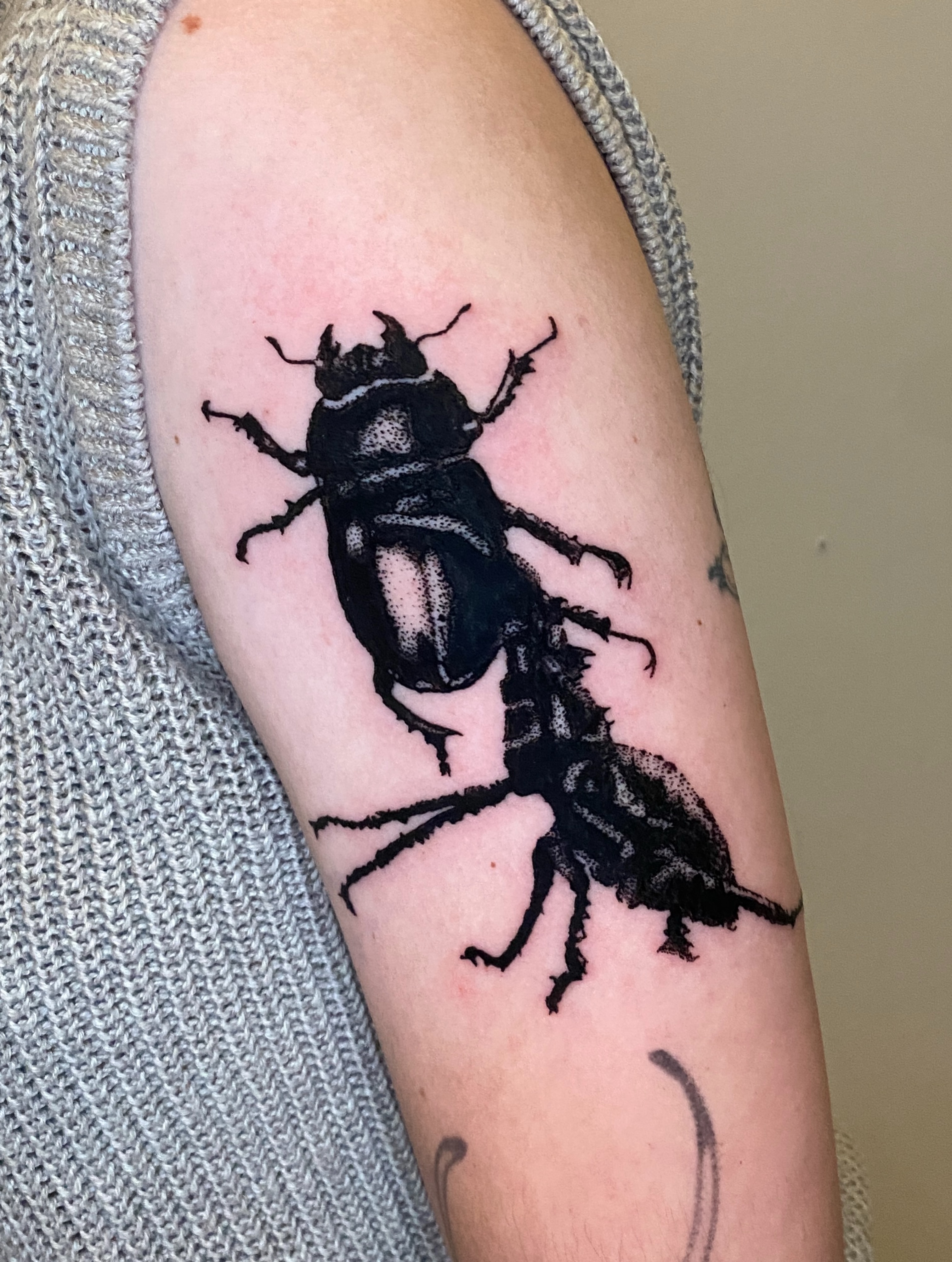 Stag beetle black and grey tattoo on the forearm by Aidan Leery, Portland, Oregon
