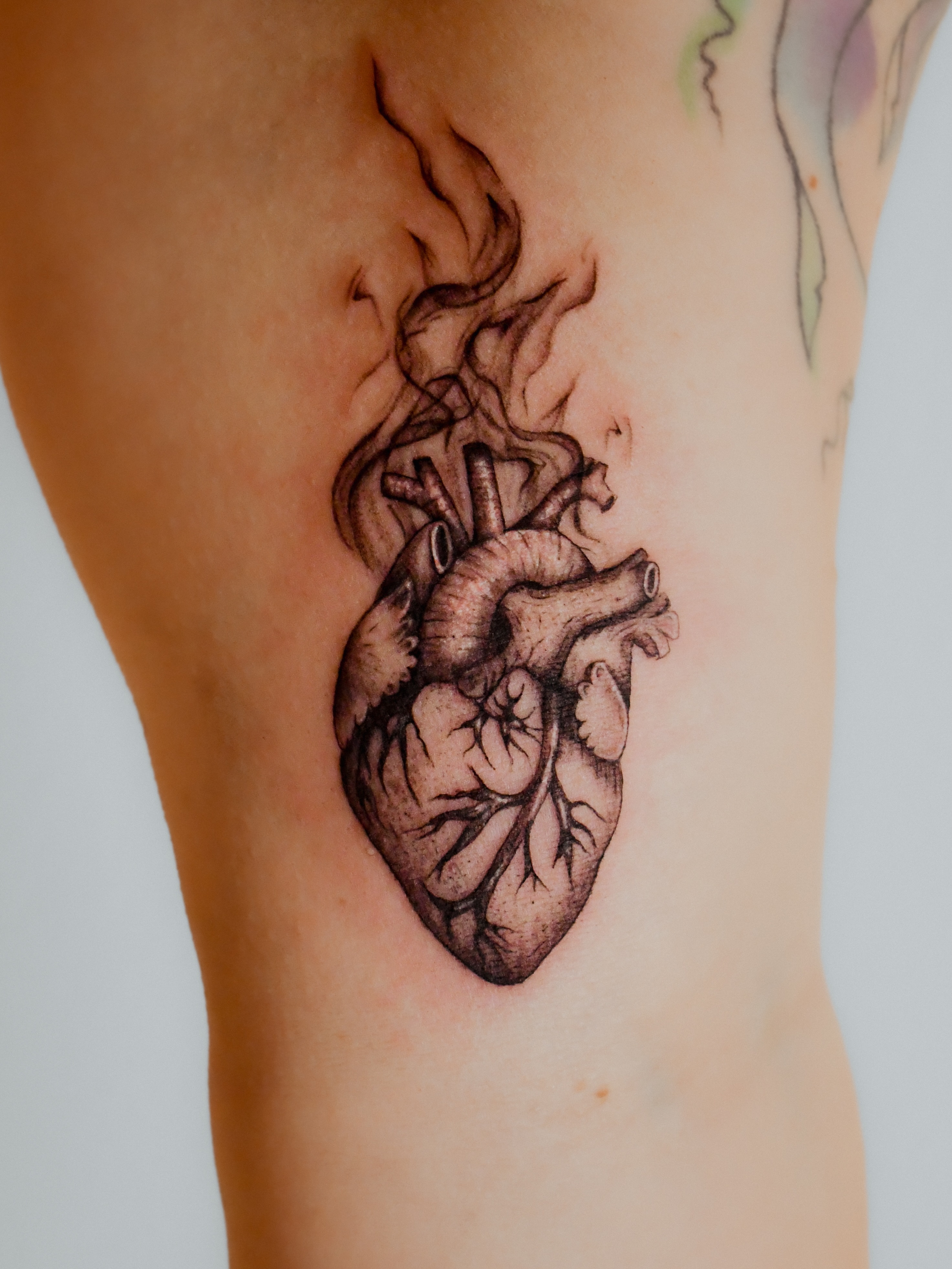 Anatomical heart realism tattoo on the thigh by 𝐇𝐚𝐫𝐩𝐞𝐫