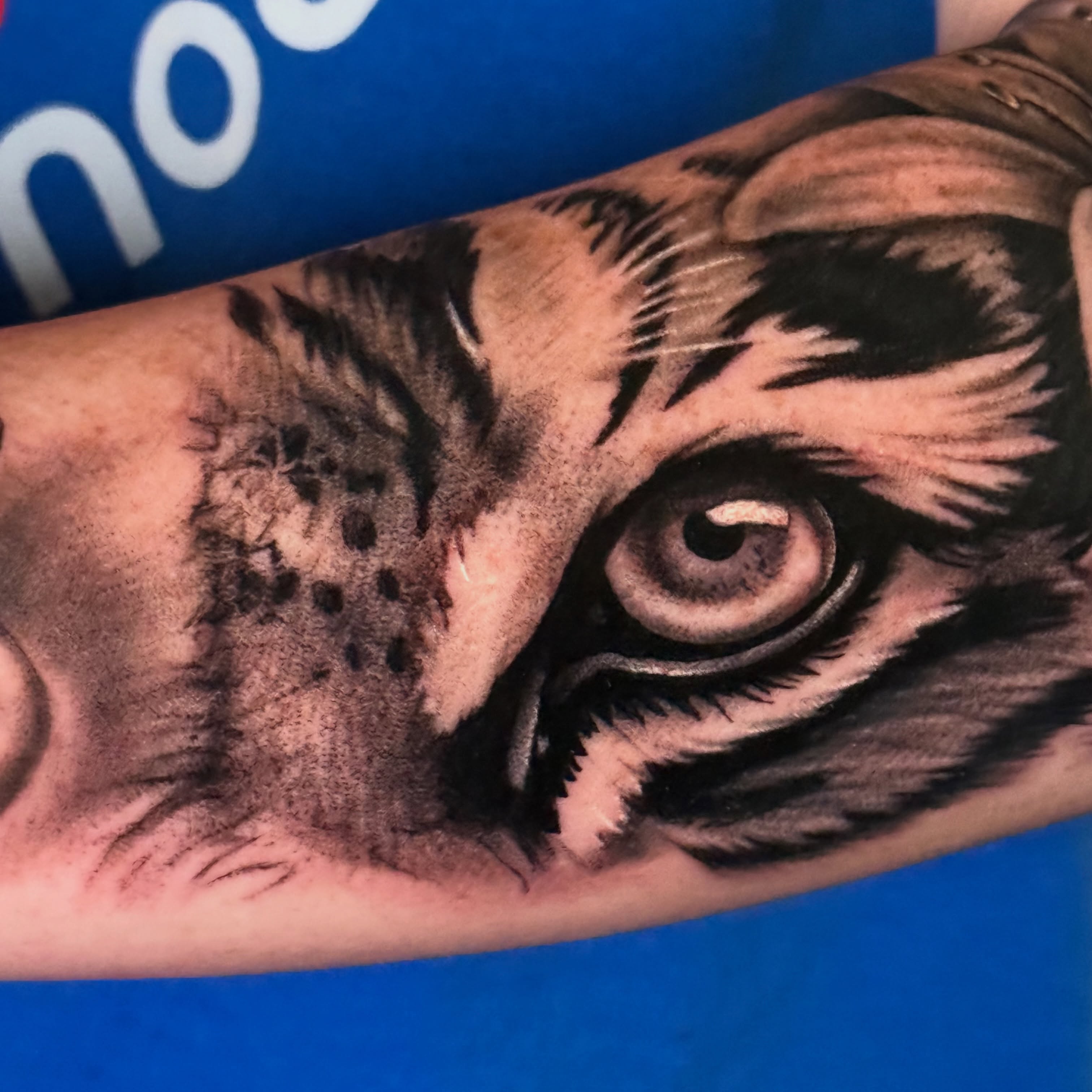 Cat eye realism tattoo on the forearm by Quentin Stevenson, Slidell, Louisiana