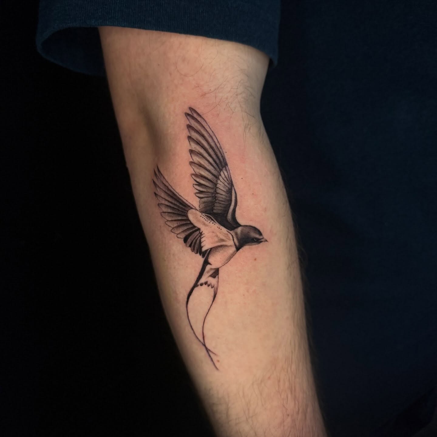 Bird black and grey tattoo on the forearm by Angela Azure