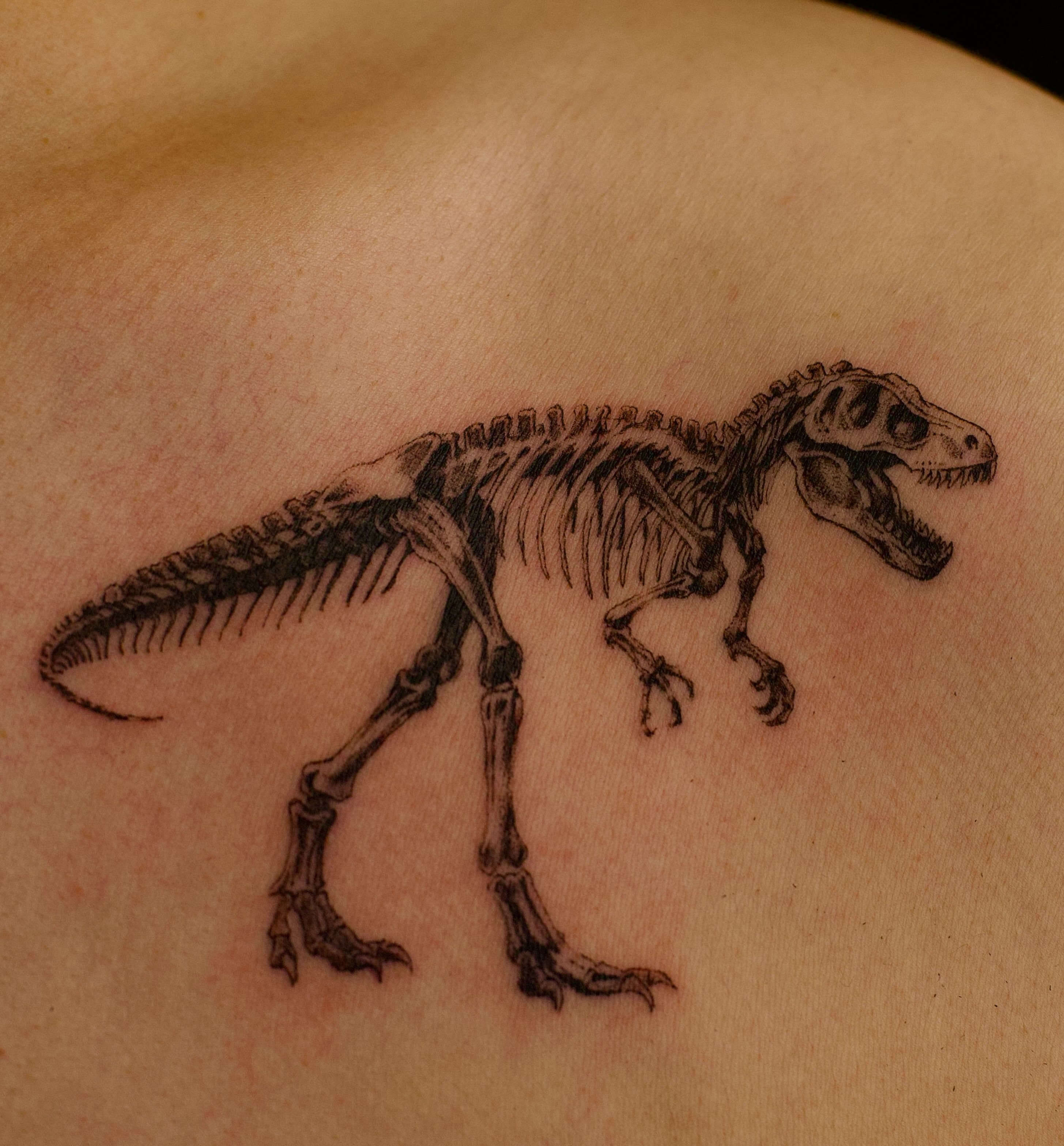 Tyrannosaurus rex skeleton black and grey tattoo on the shoulder by Koreatattoo Seoultattoo hongdaetattoo 서울타투