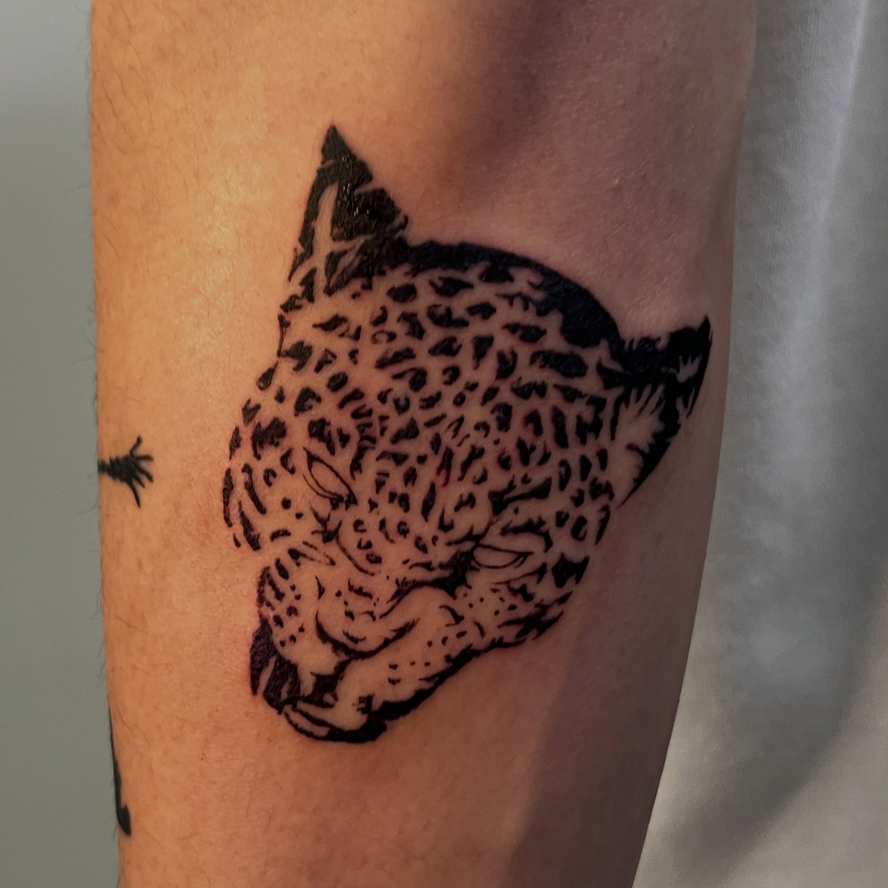 Leopard black and grey tattoo on the forearm by Koreatattoo Seoultattoo hongdaetattoo 서울타투