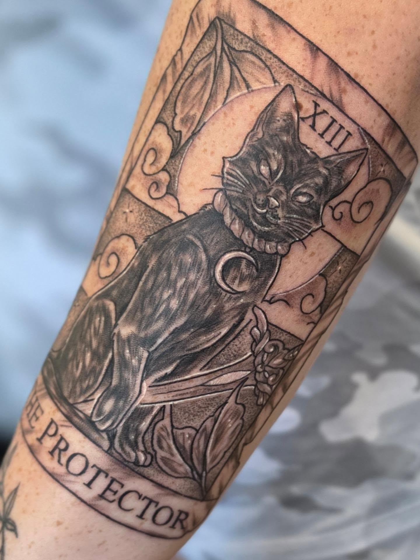 Cat realism tattoo on the forearm by Colleen