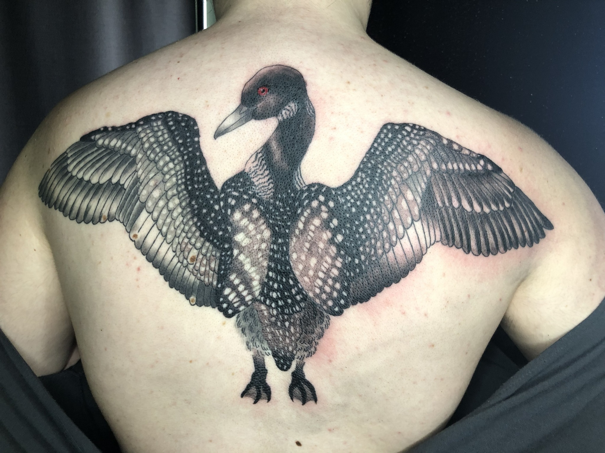 Loon realism tattoo on the back by Rowan Lee