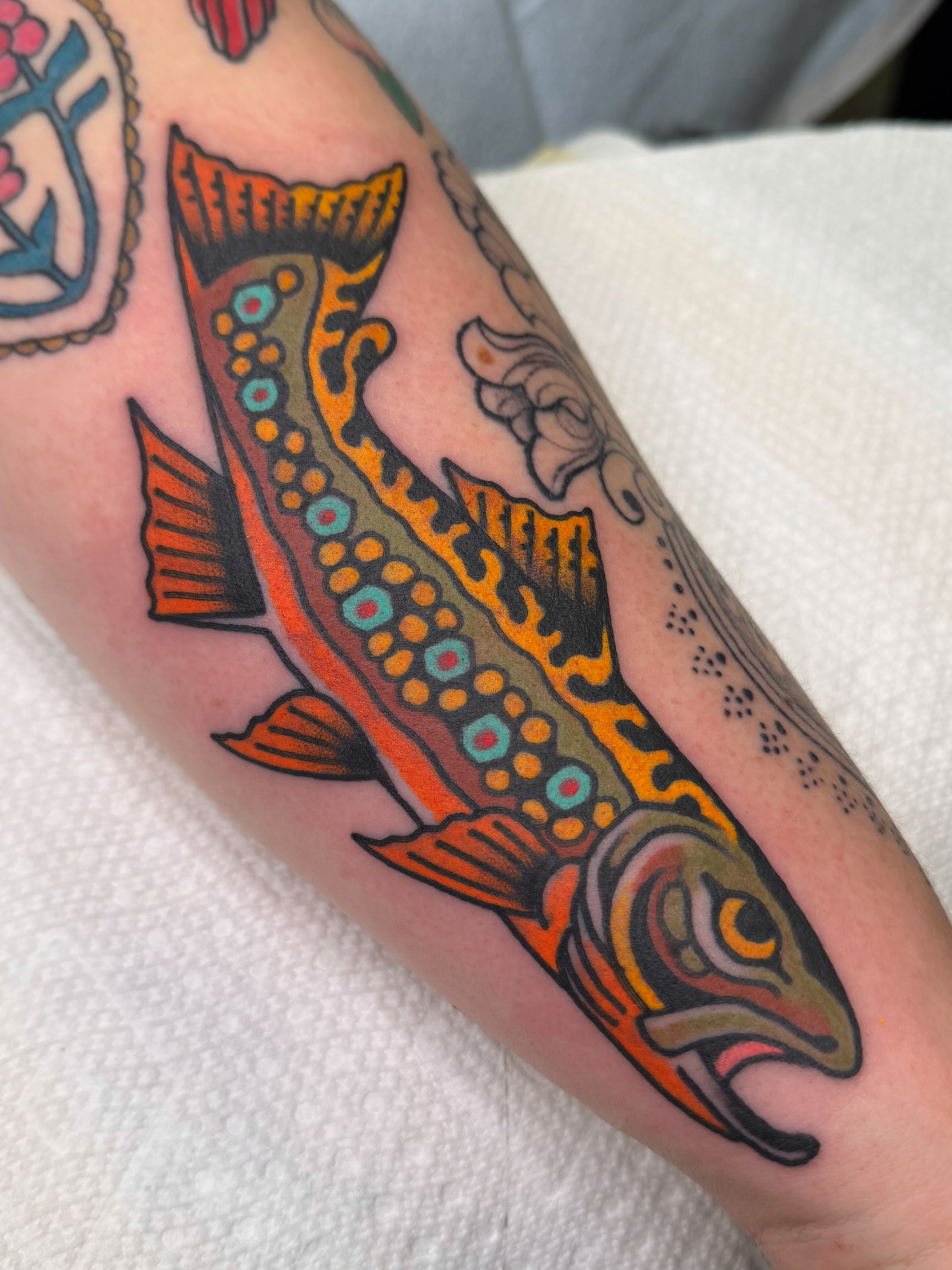 Salmon American traditional tattoo on the forearm by Danny Reed, Asheville, North Carolina