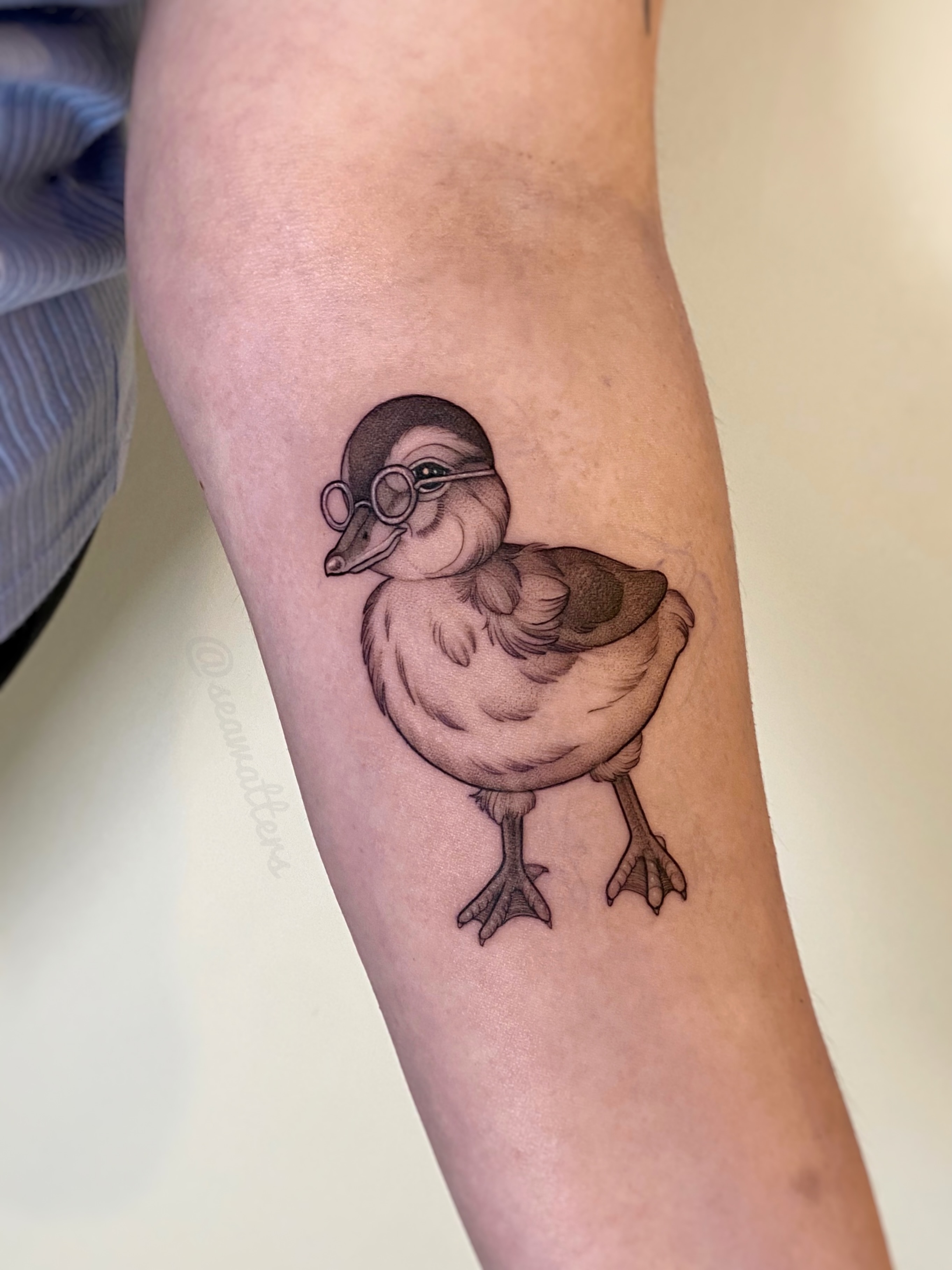 Duckling wearing glasses realism tattoo on the forearm by Caitlin Watters