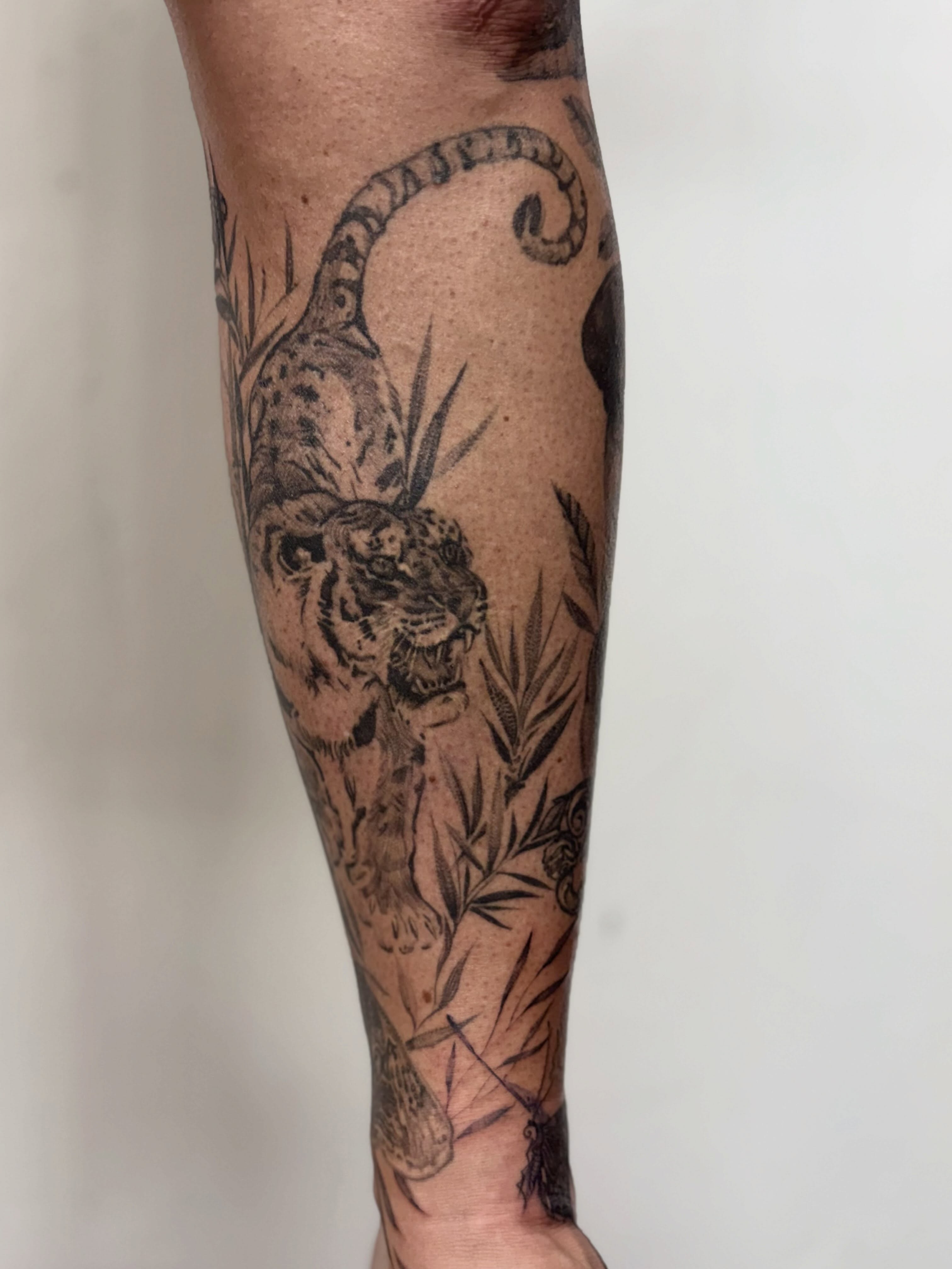 Tiger and bamboo realism tattoo on the forearm by Tianna Osborne