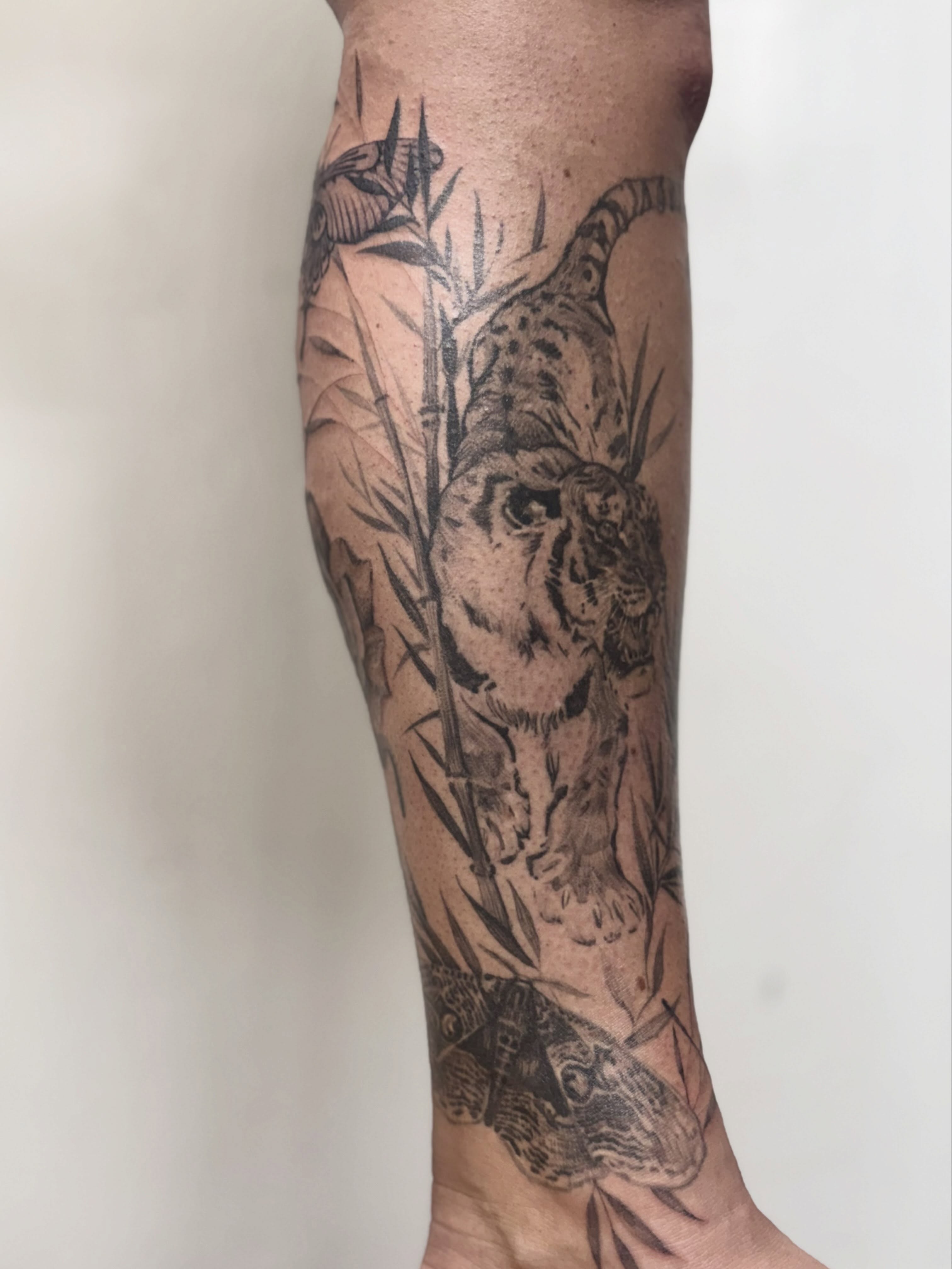 Tiger and bamboo realism tattoo on the forearm by Tianna Osborne