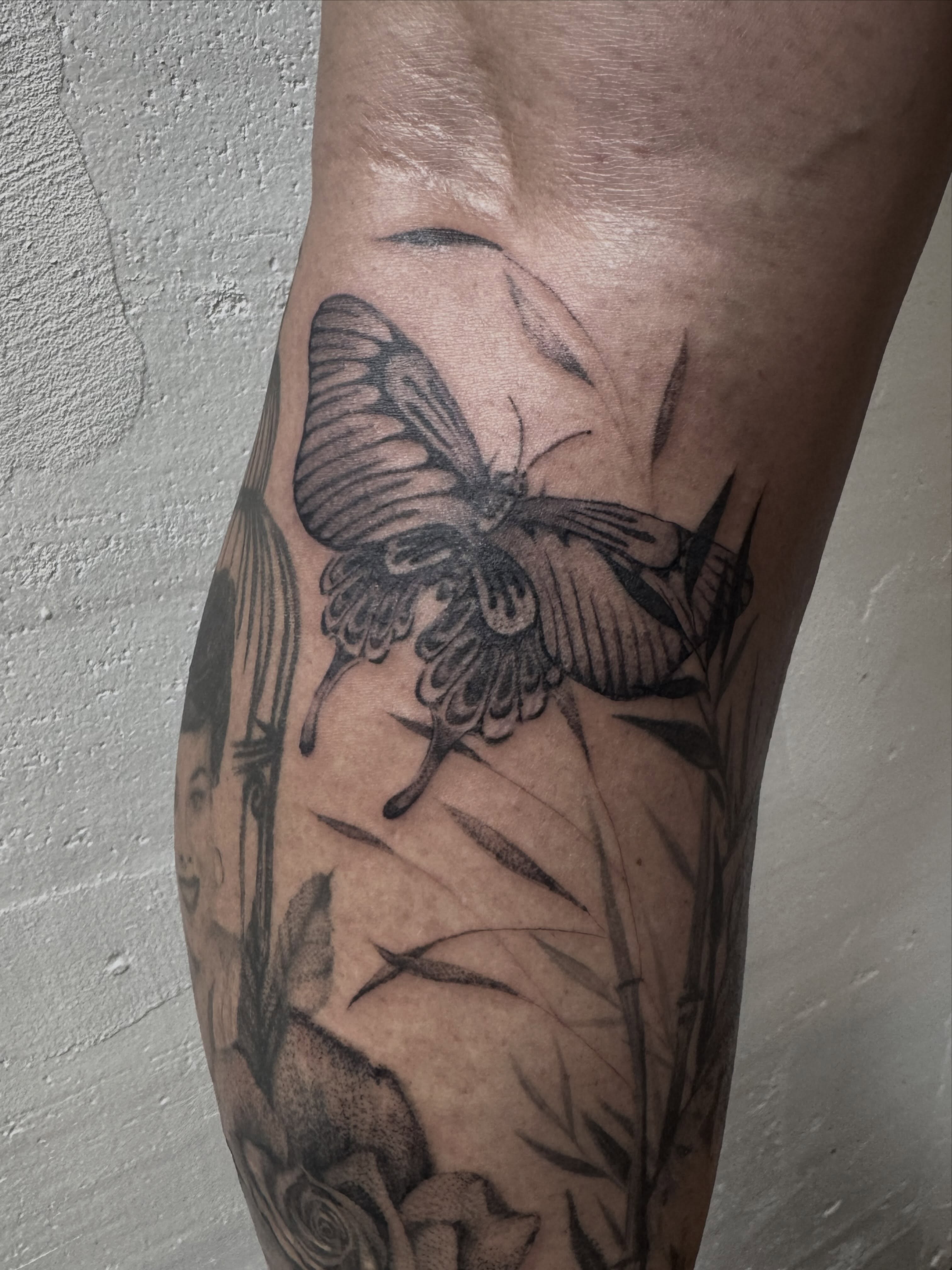 Butterfly and bamboo realism tattoo on the forearm by Tianna Osborne
