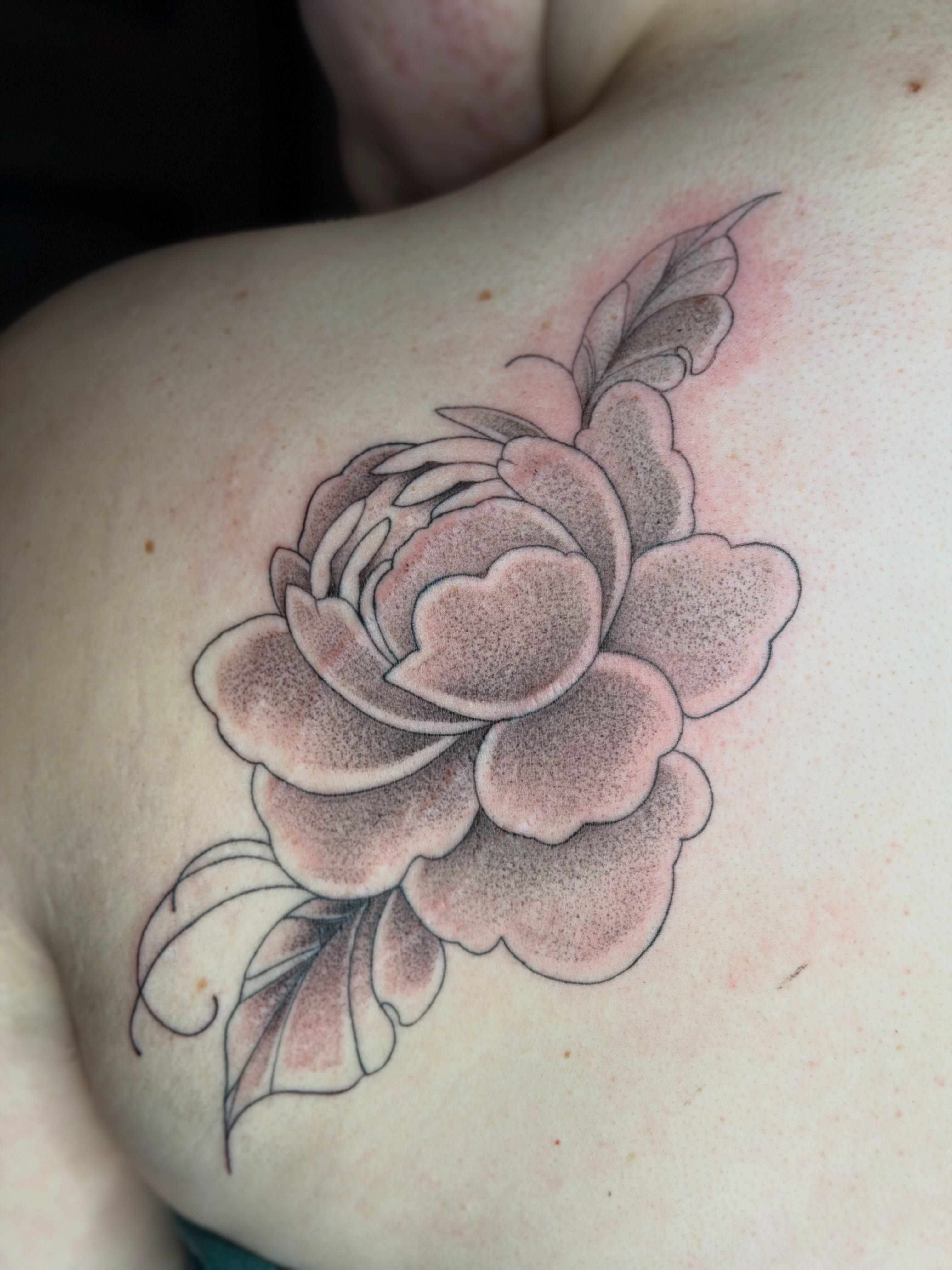 Peony dotwork tattoo on the shoulder by Summer Christman