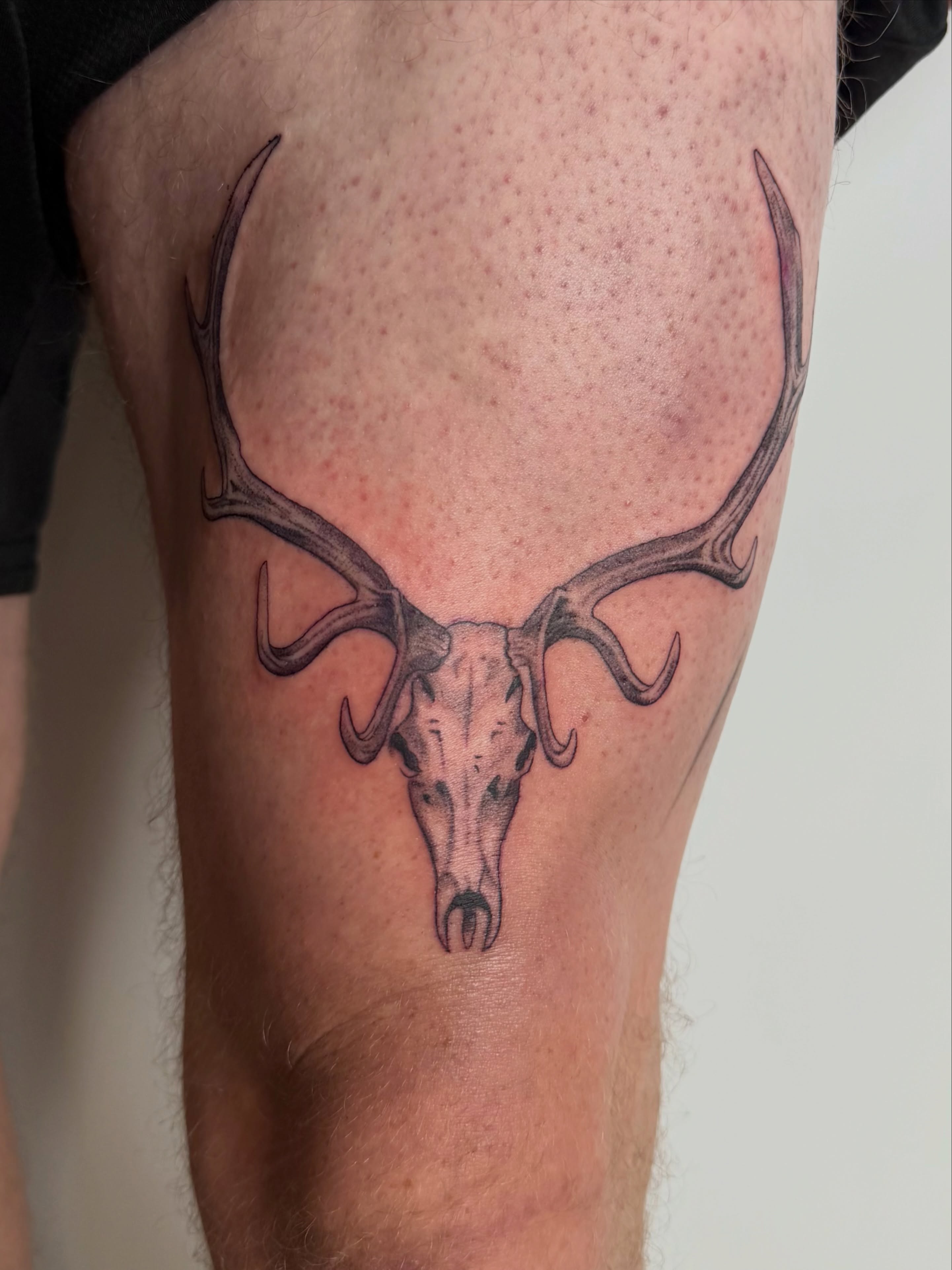 Deer skull black and grey tattoo on the thigh by Bailee