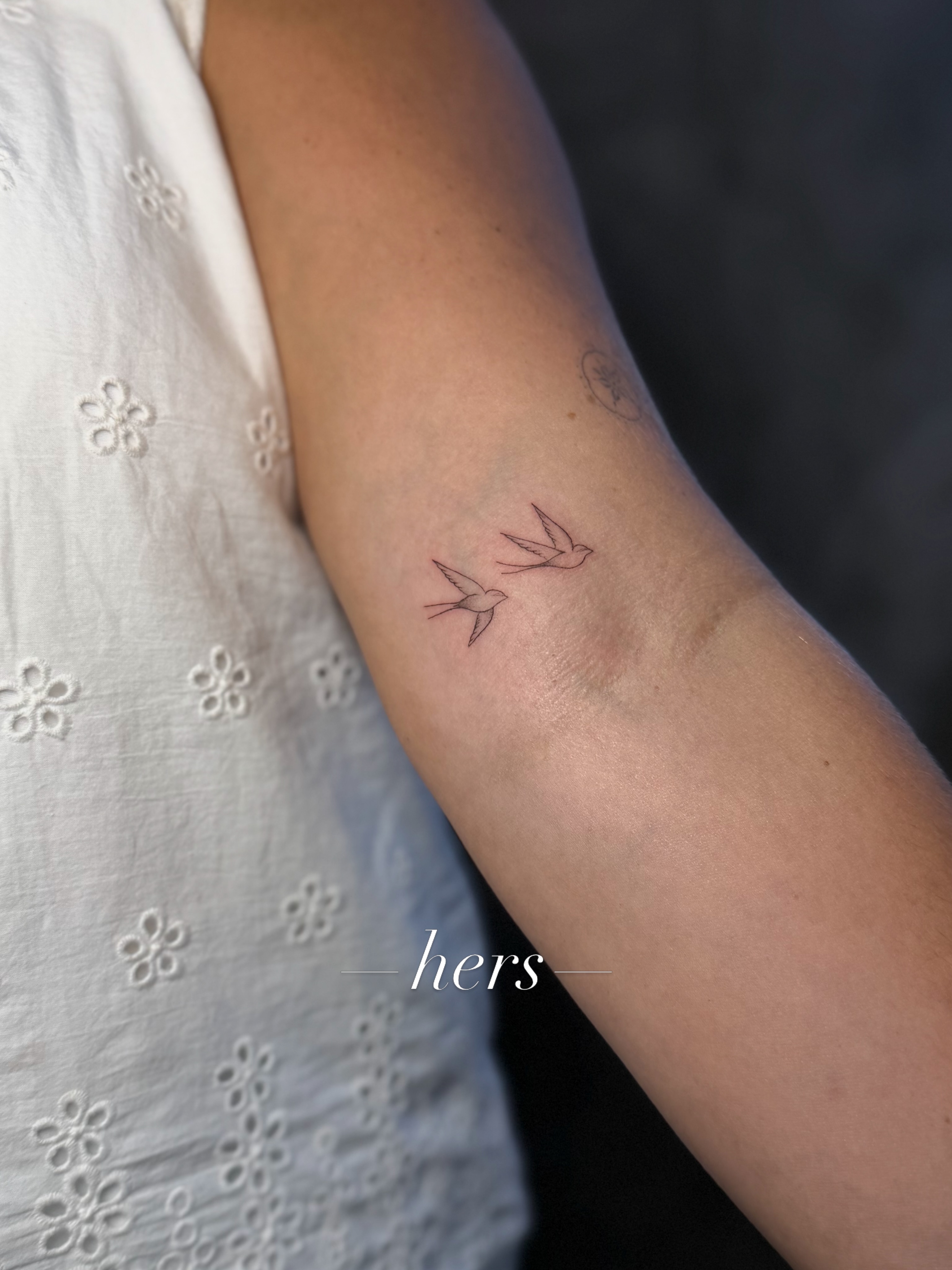 Birds fine line tattoo on the forearm by 𝙸𝚗𝚔𝚊𝚗𝚍𝚕𝚒𝚕𝚢𝚜 🤎💉🐻🌸