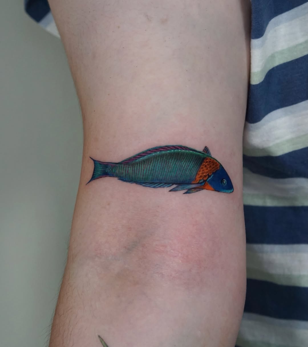 Fish realism tattoo on the forearm by Alissa Jung