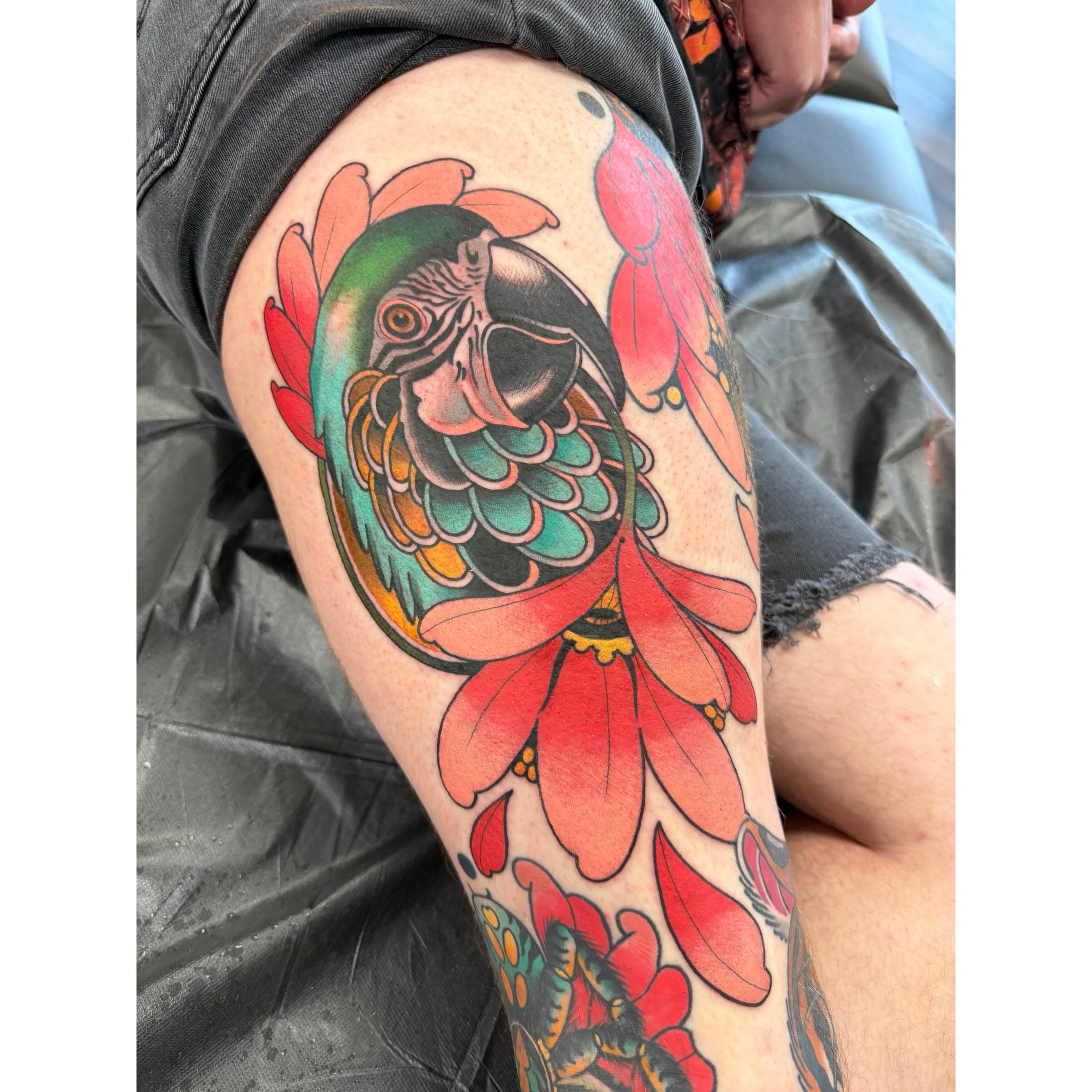 Parrot American traditional tattoo on the thigh by Spencer Webb
