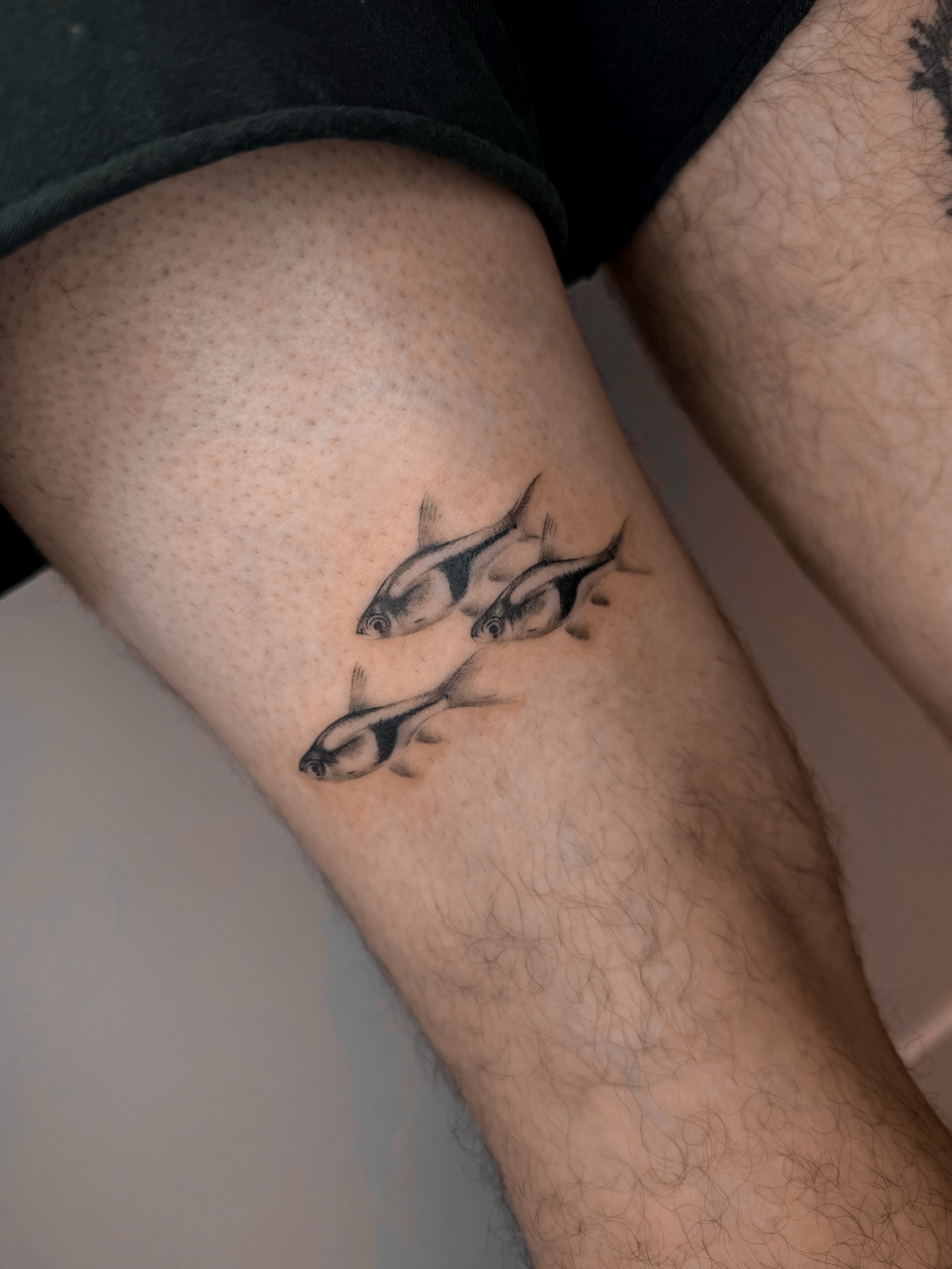 Three fish realism tattoo on the forearm by Rylee