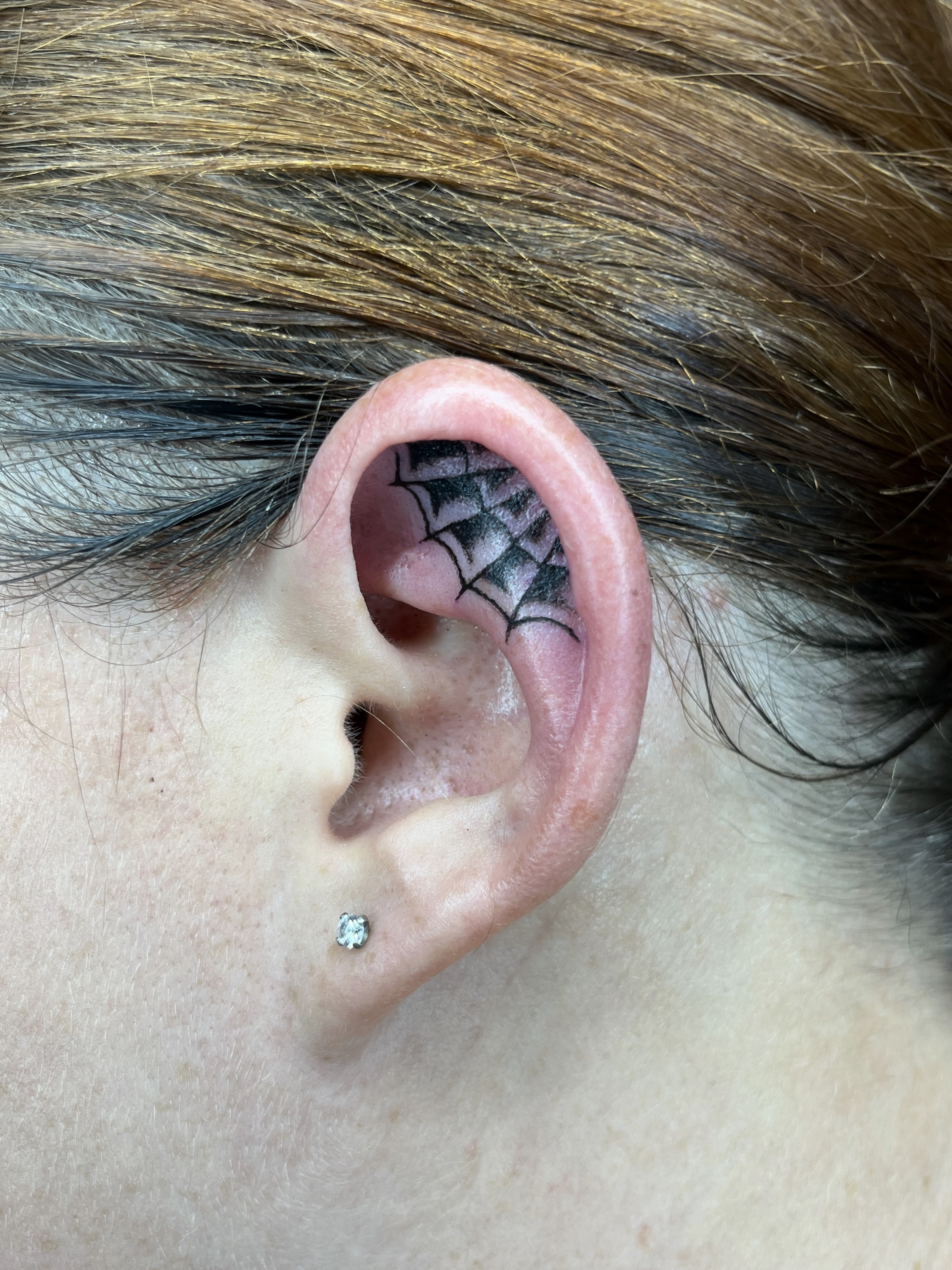 Spider web black and grey tattoo by Sara Atamian, San Diego, California