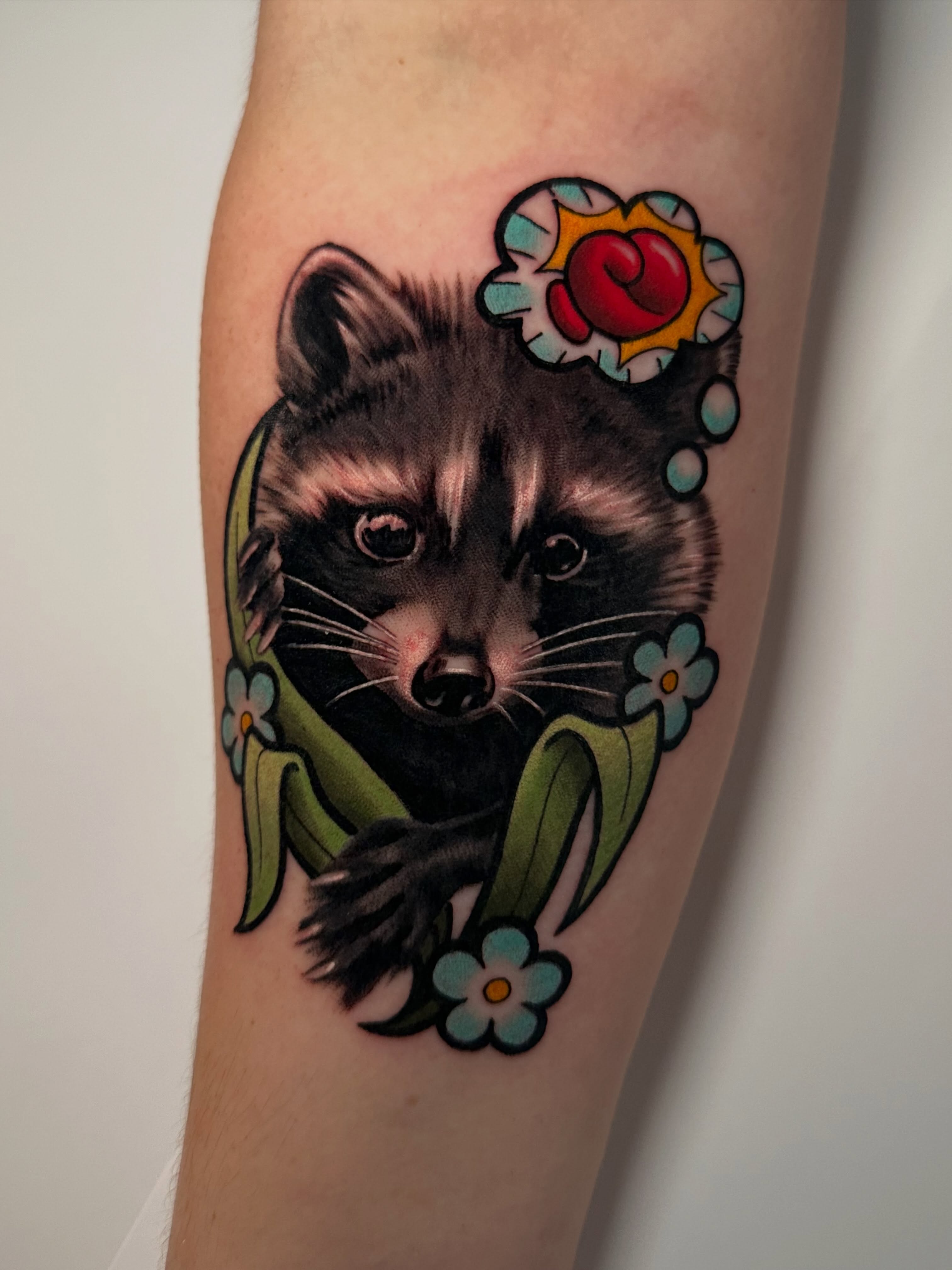 Raccoon American traditional tattoo on the forearm by 🌿 Vicky Stoner 🌿