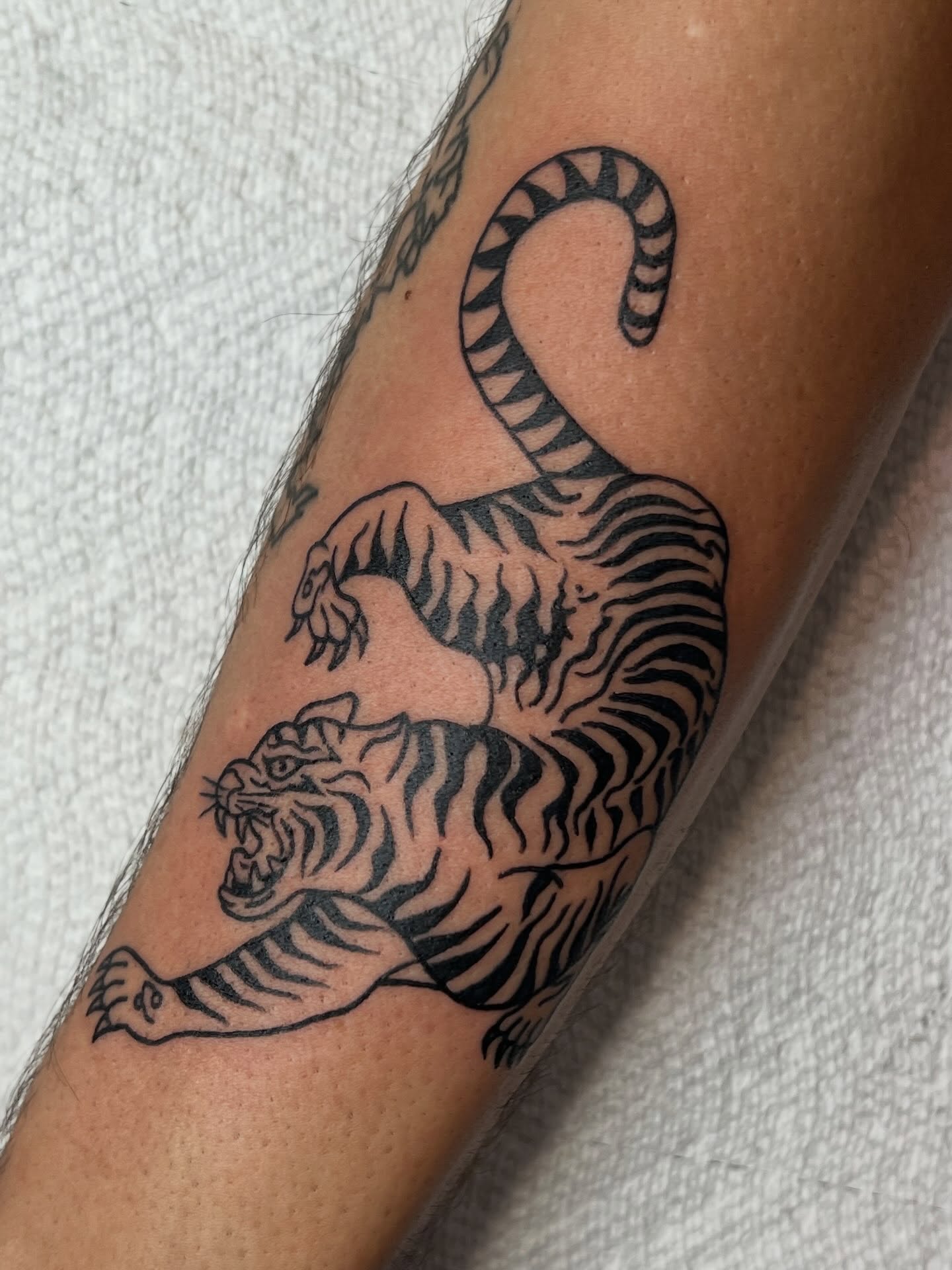 Tattoo by @shani.tattoo — american_traditional