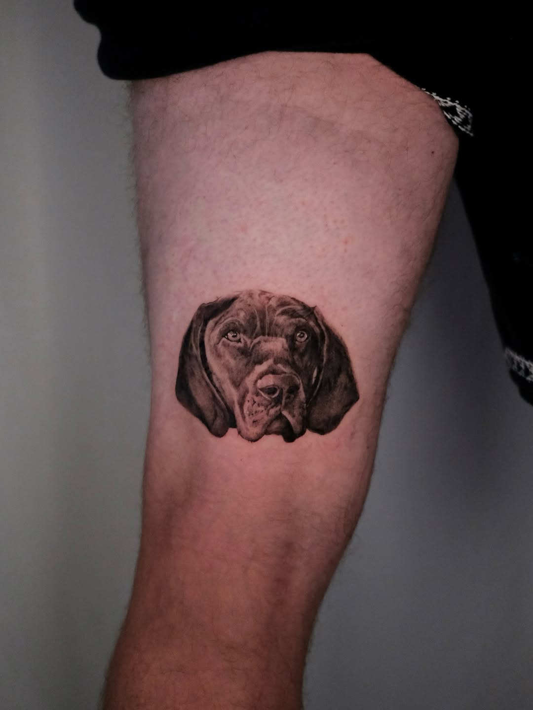 Tattoo by @aliceholdcrofttattoo — realism, black_and_grey