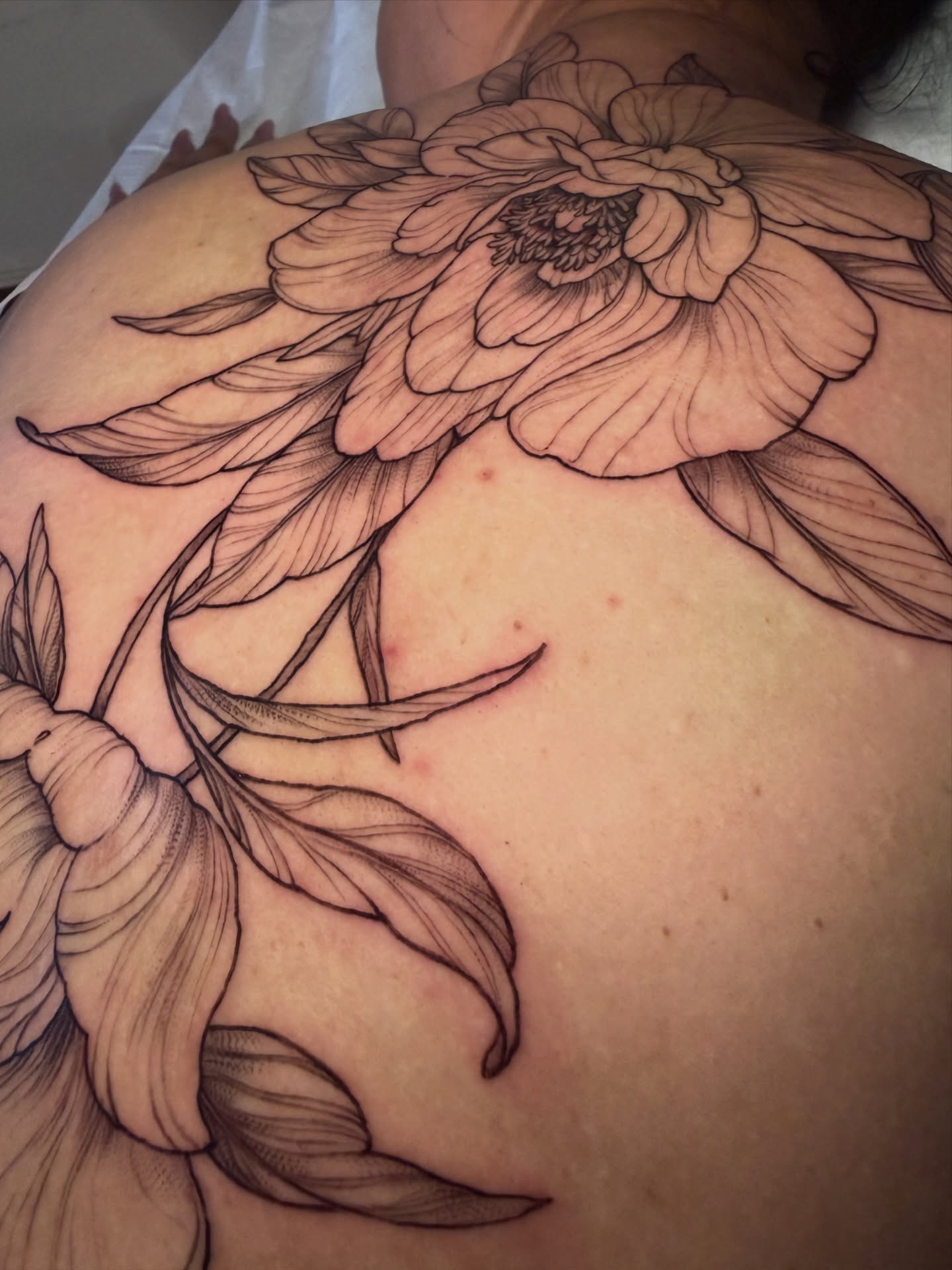 Tattoo by @francistattooer — black_and_grey