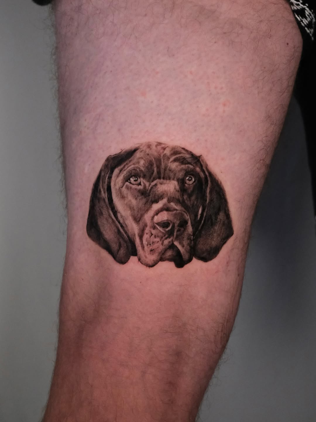 Tattoo by @aliceholdcrofttattoo — realism, black_and_grey