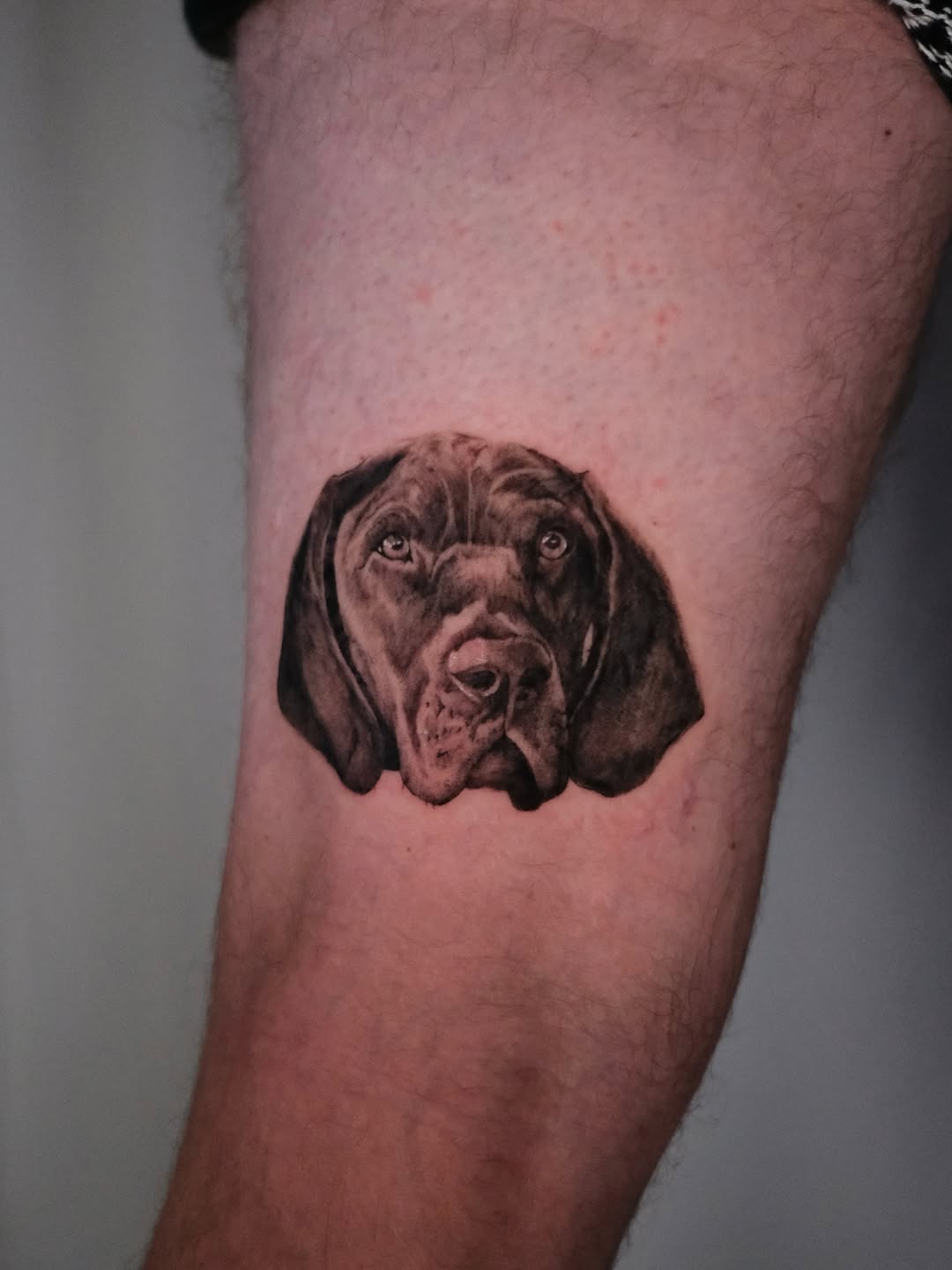 Tattoo by @aliceholdcrofttattoo — realism, black_and_grey