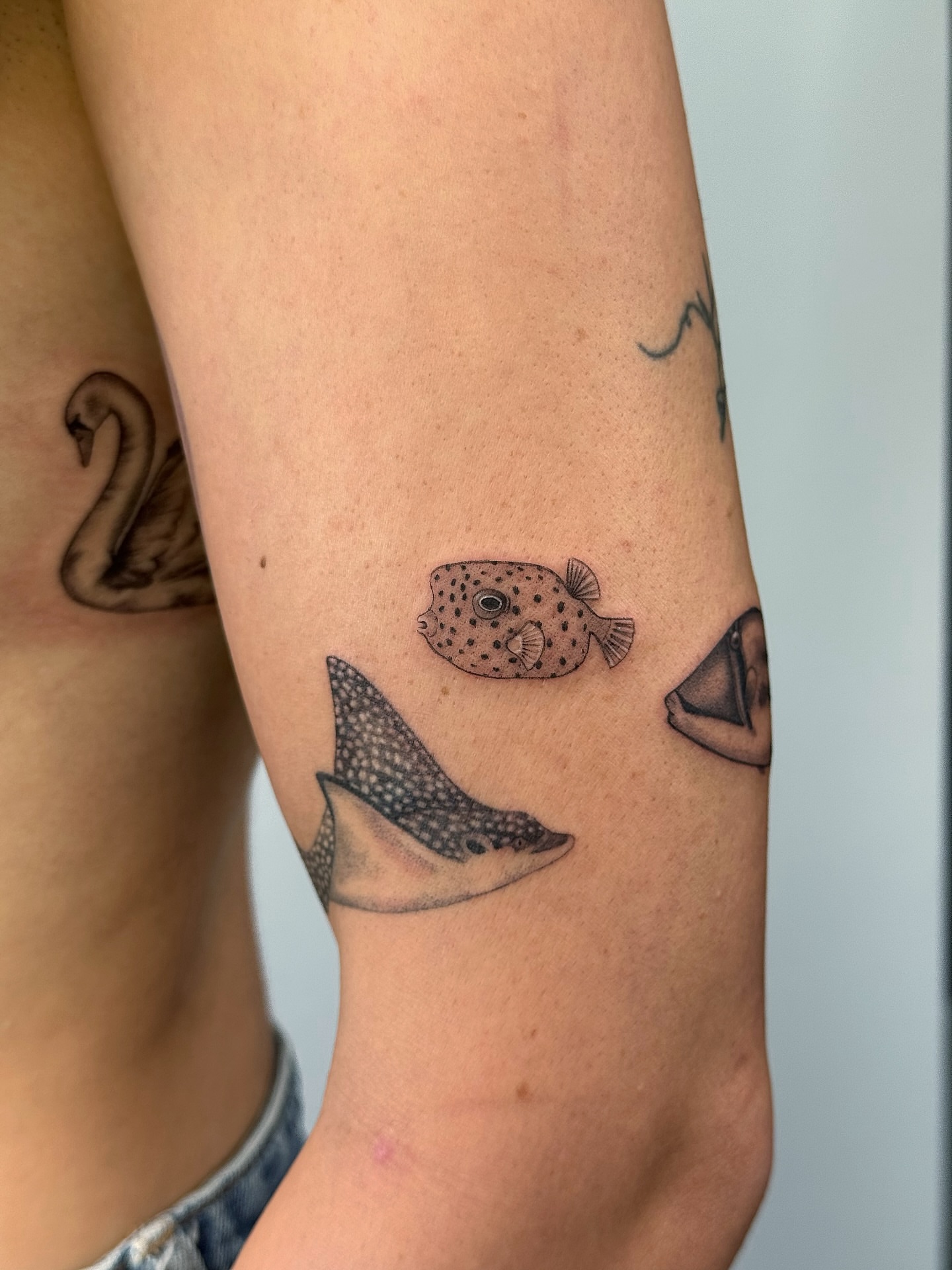 Fishes dotwork tattoo on the forearm by Lea Burkard, Berkeley, California