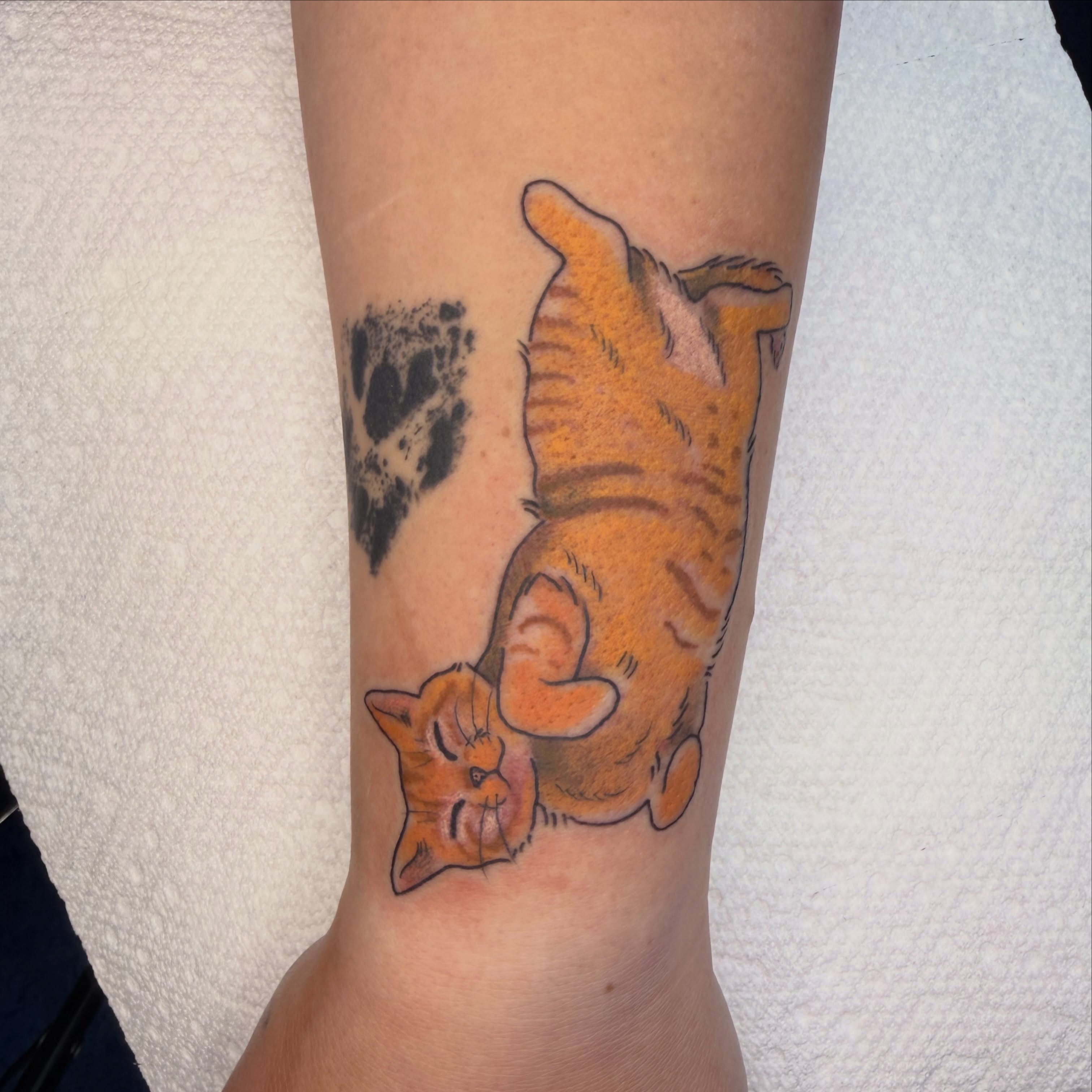 Cat realism tattoo on the forearm by 🦷J.McHugh🦷