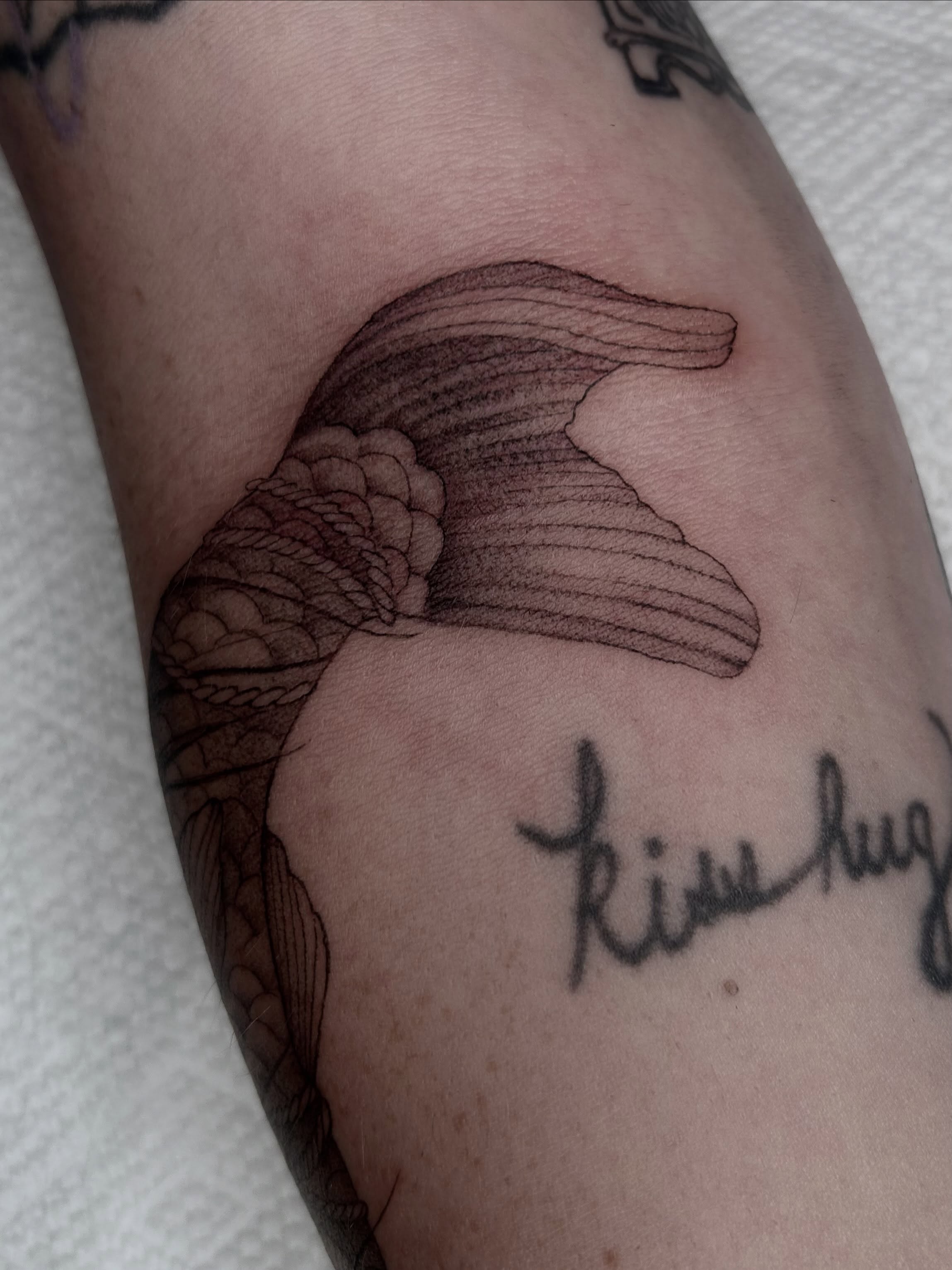 Whale tail black and grey tattoo on the forearm by Olivia Fox