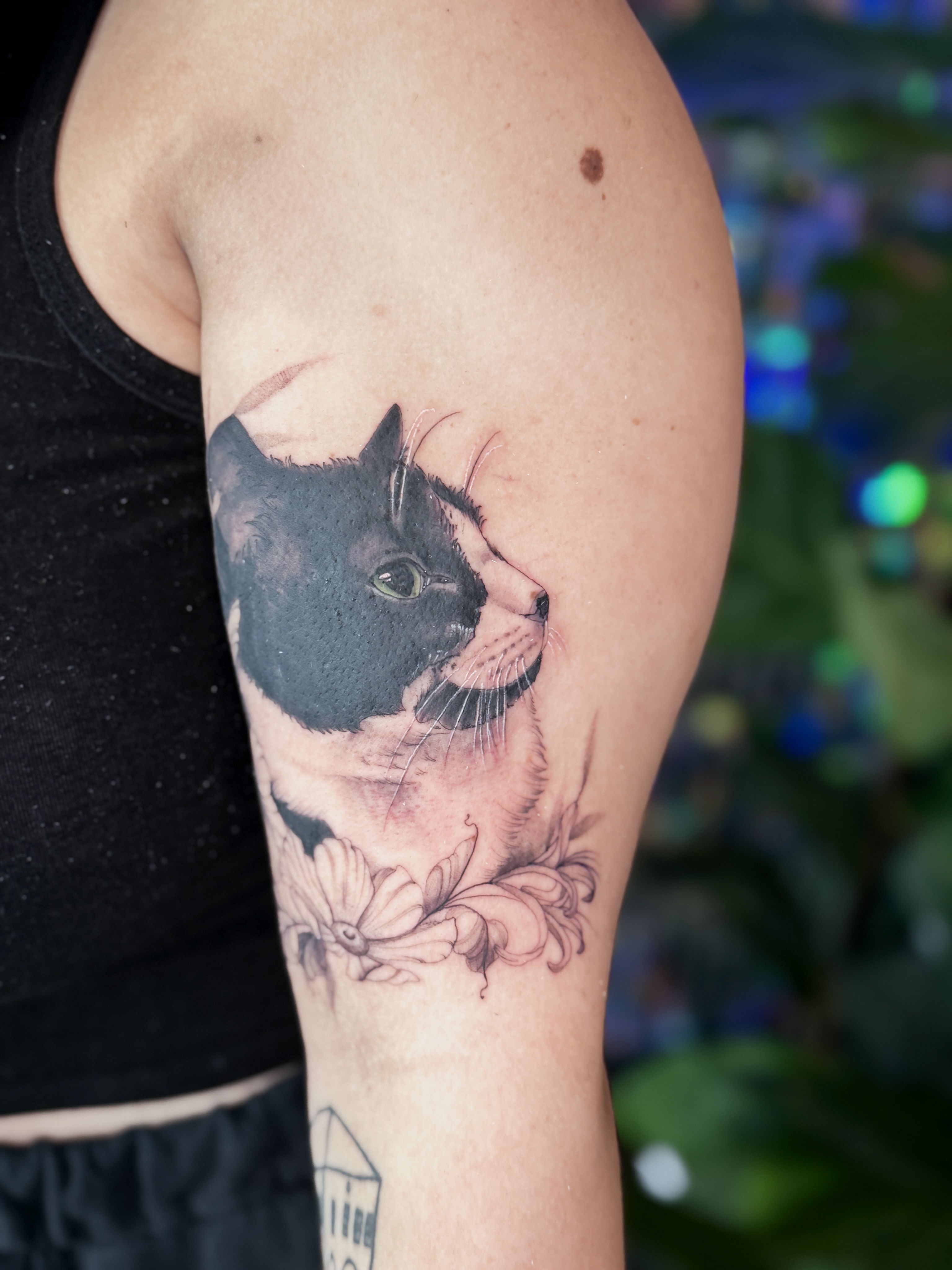 Cat realism tattoo on the forearm by 🌙nadia Renee