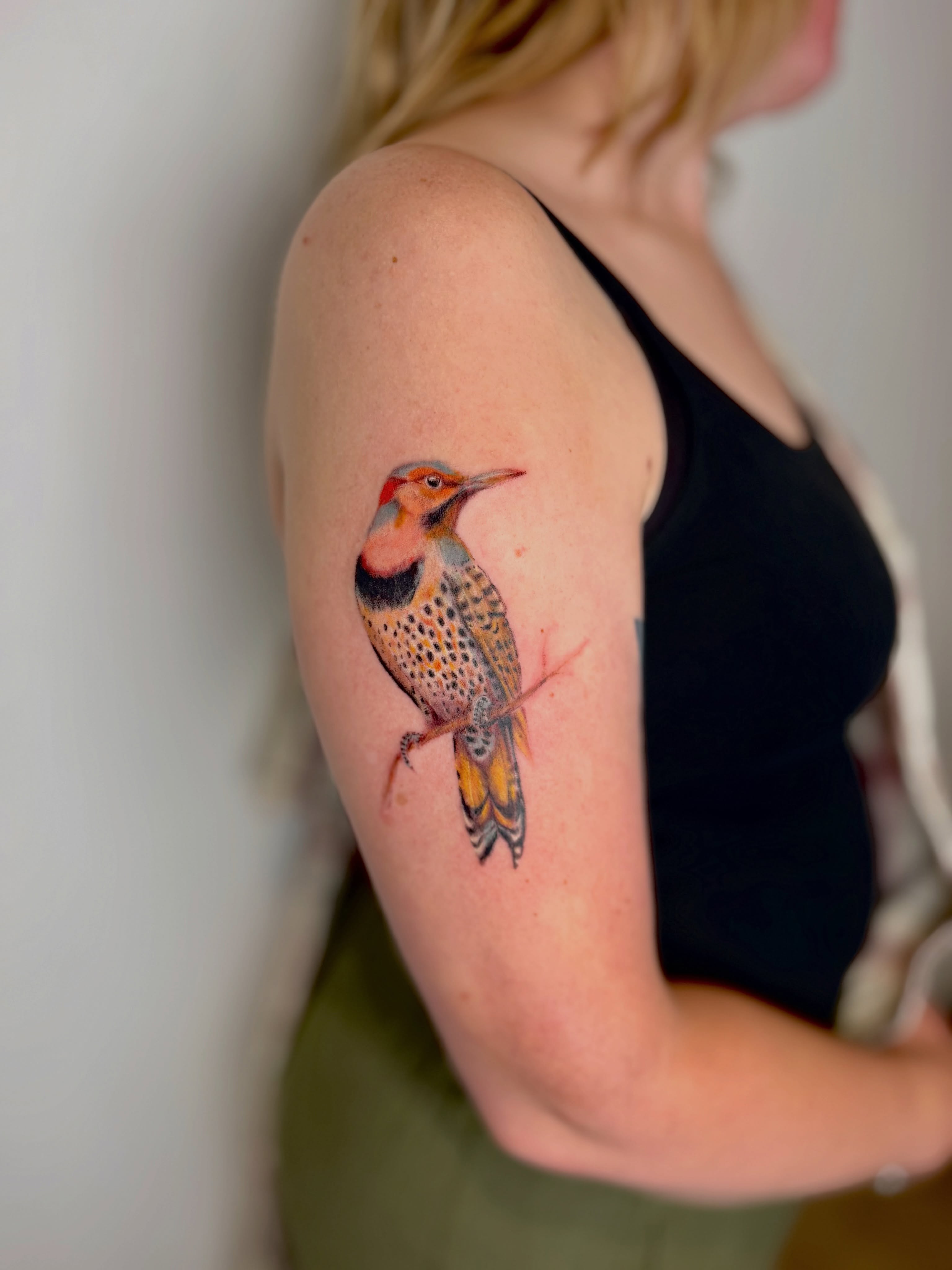 Woodpecker realism tattoo on the shoulder by Mackenzie