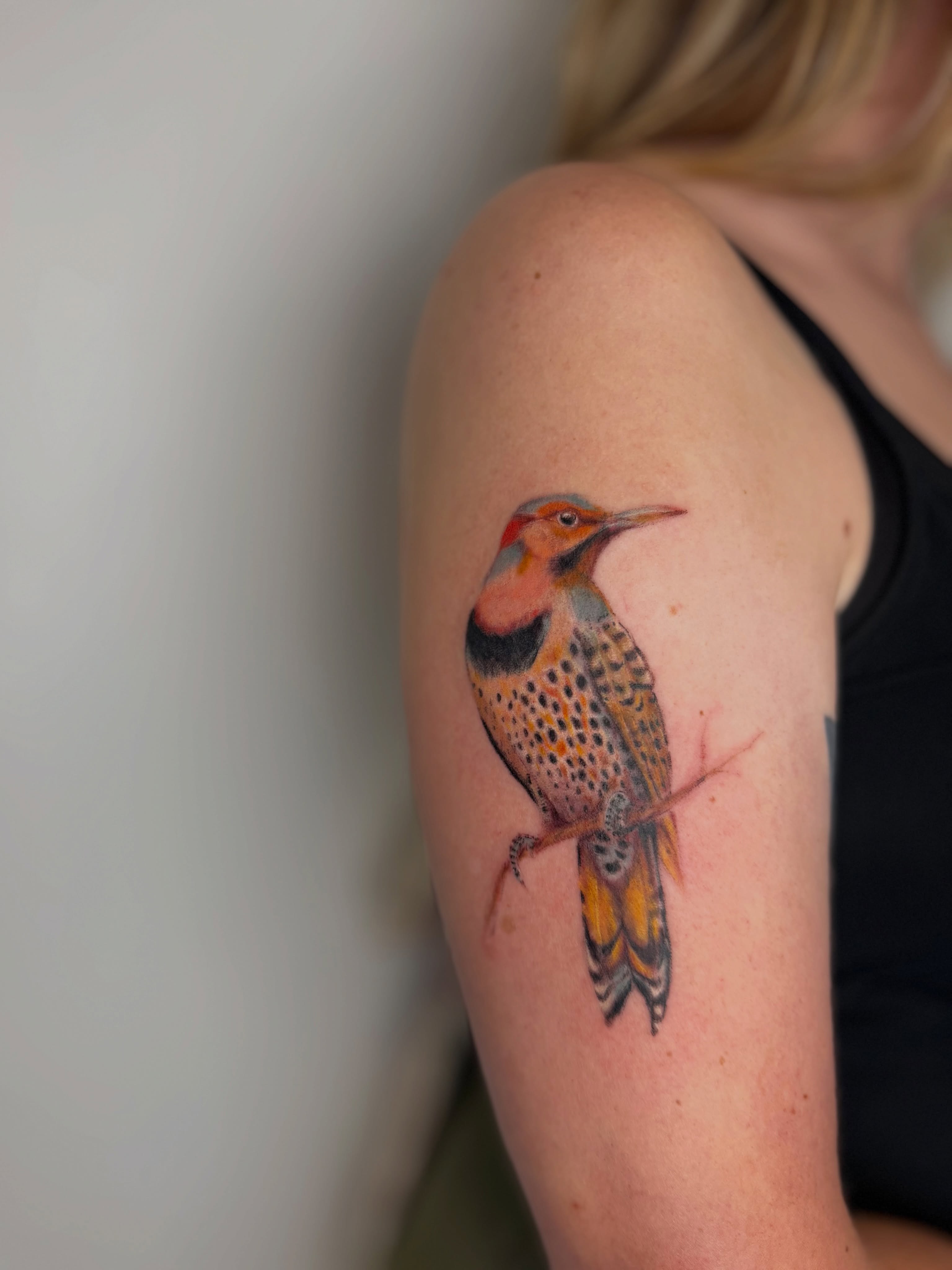 Northern flicker realism tattoo on the shoulder by Mackenzie