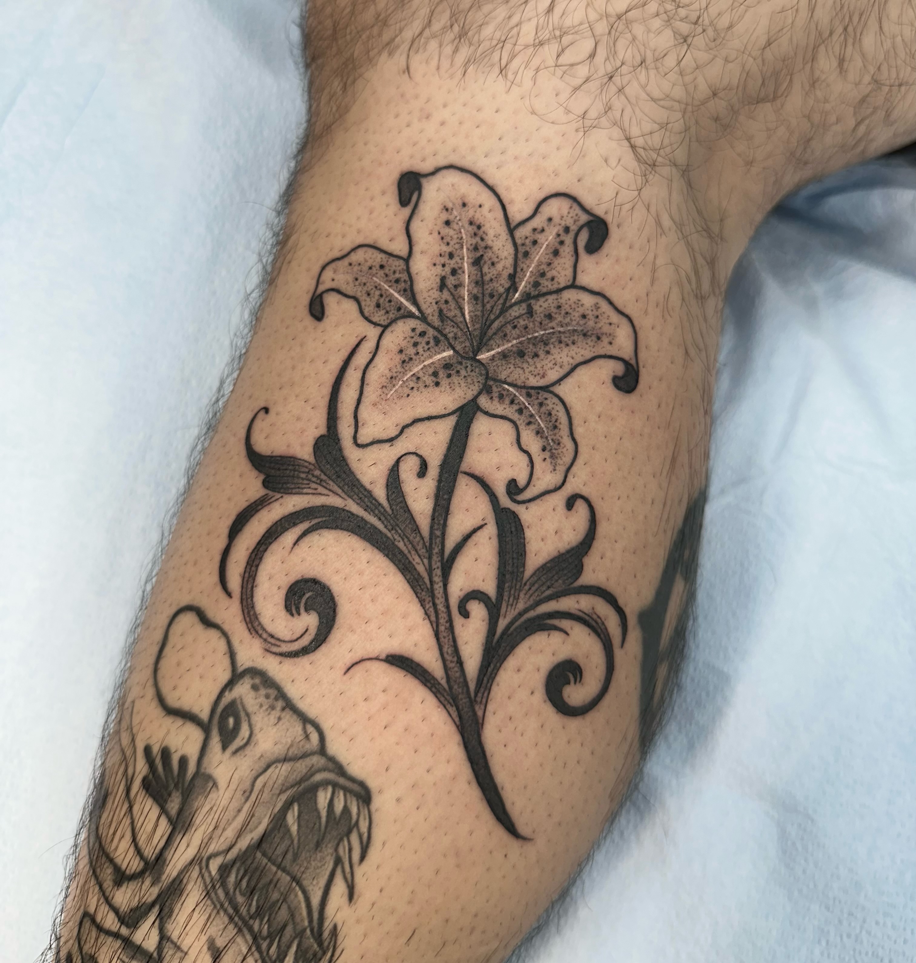 Lily black and grey tattoo on the forearm by Brooklyn Bailey