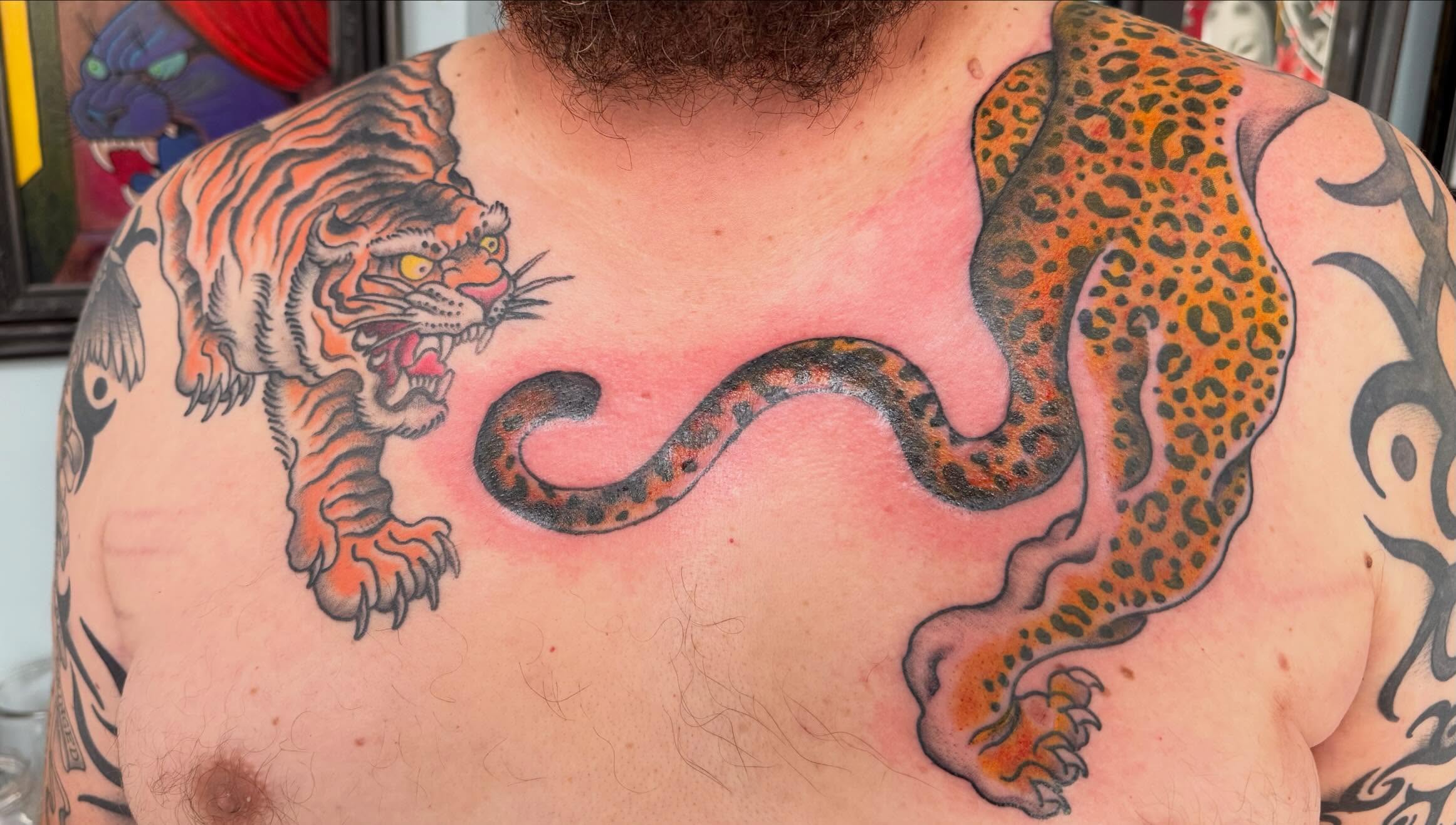 Tiger and leopard American traditional tattoo on the chest by Tony Beuke