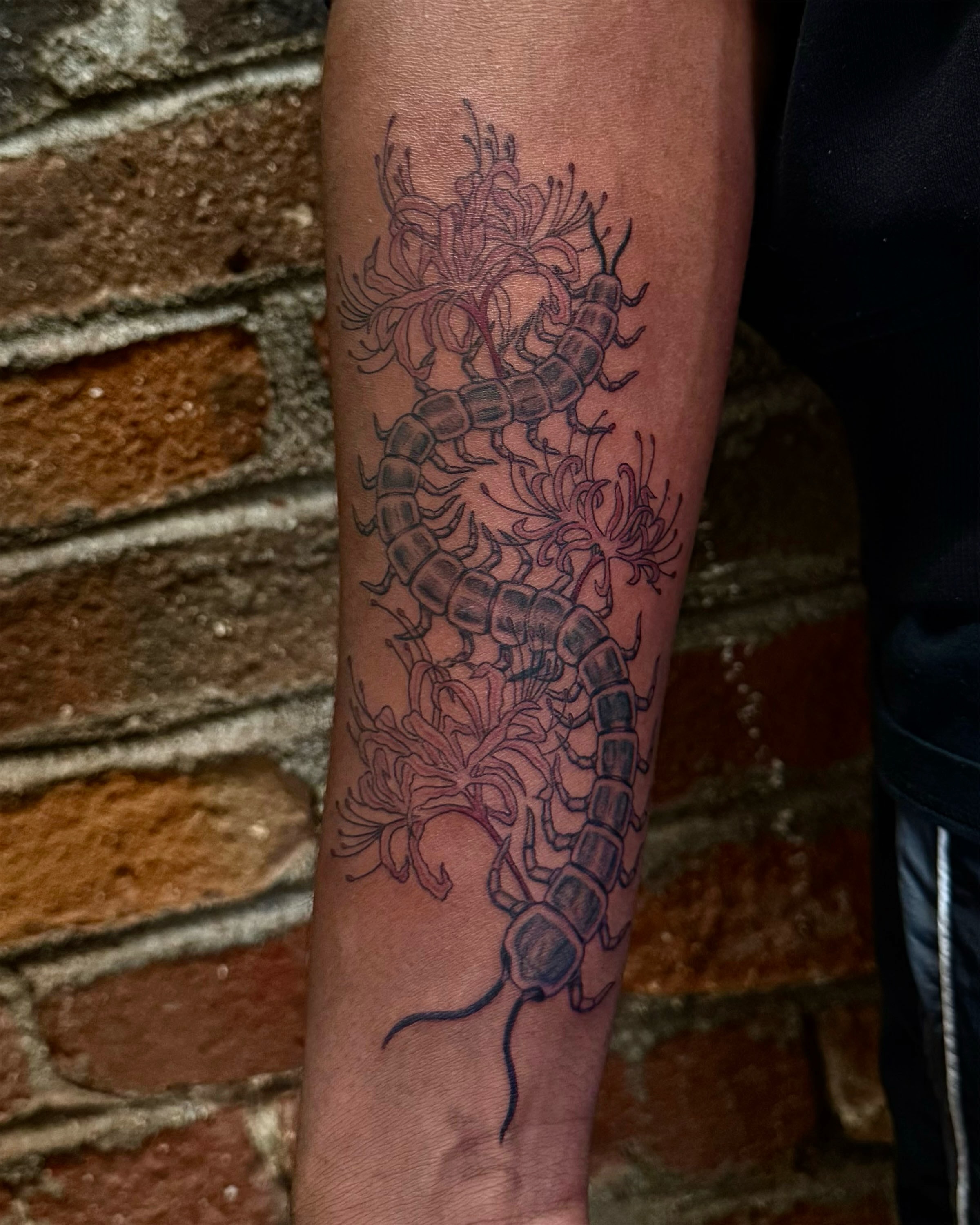 Centipedes and flowers black and grey tattoo on the forearm by Too Zen