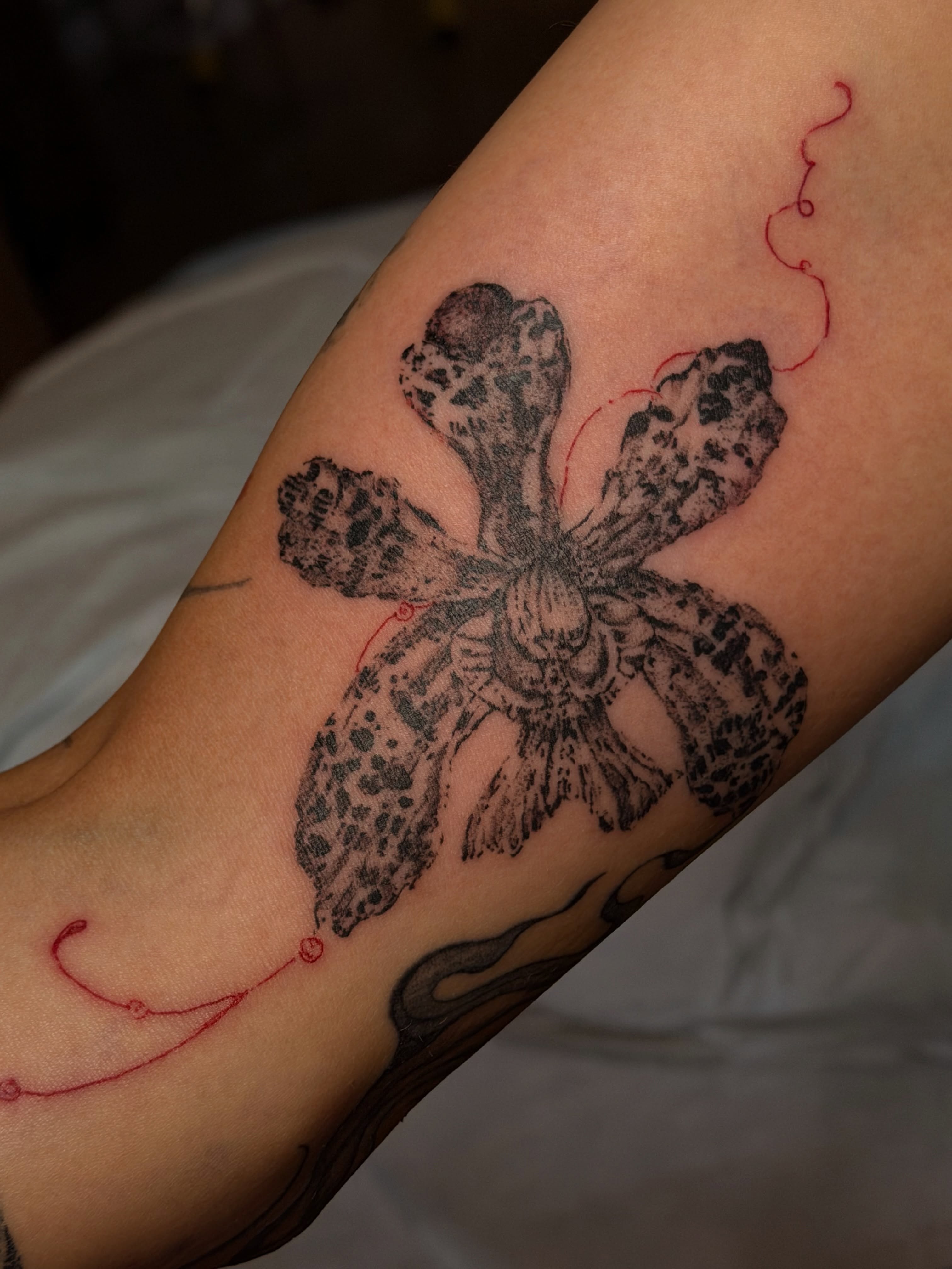 Orchid black and grey tattoo on the forearm by Babymaxy Inks Llc
